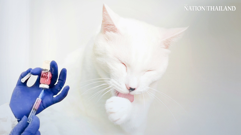 Russia unveils world's first coronavirus vaccine for dogs, cats and other animals Russia unveils world's first coronavirus vaccine for dogs, cats and other animals