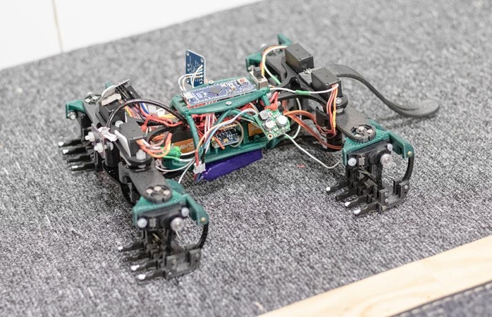 Robotic lizards may play a role in the future of disaster surveillance, researchers imagine Robotic lizards may play a role in the future of disaster surveillance, researchers imagine