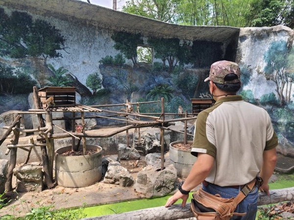 125 animals at Chiang Mai Zoo checked after intern infected with Covid 125 animals at Chiang Mai Zoo checked after intern infected with Covid