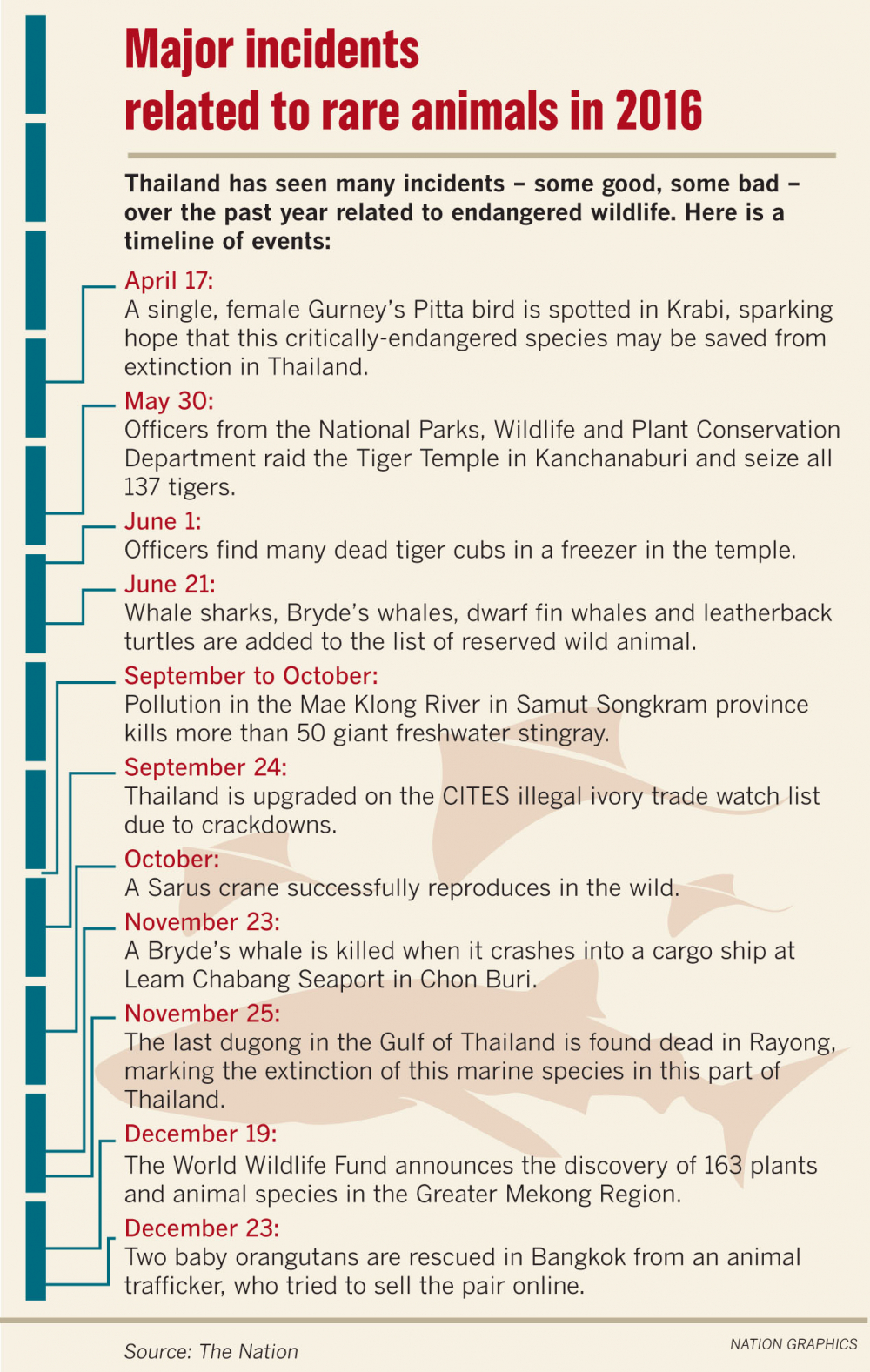 Illegal wildlife trade remains serious threat as demand for rare-animal pets increases 