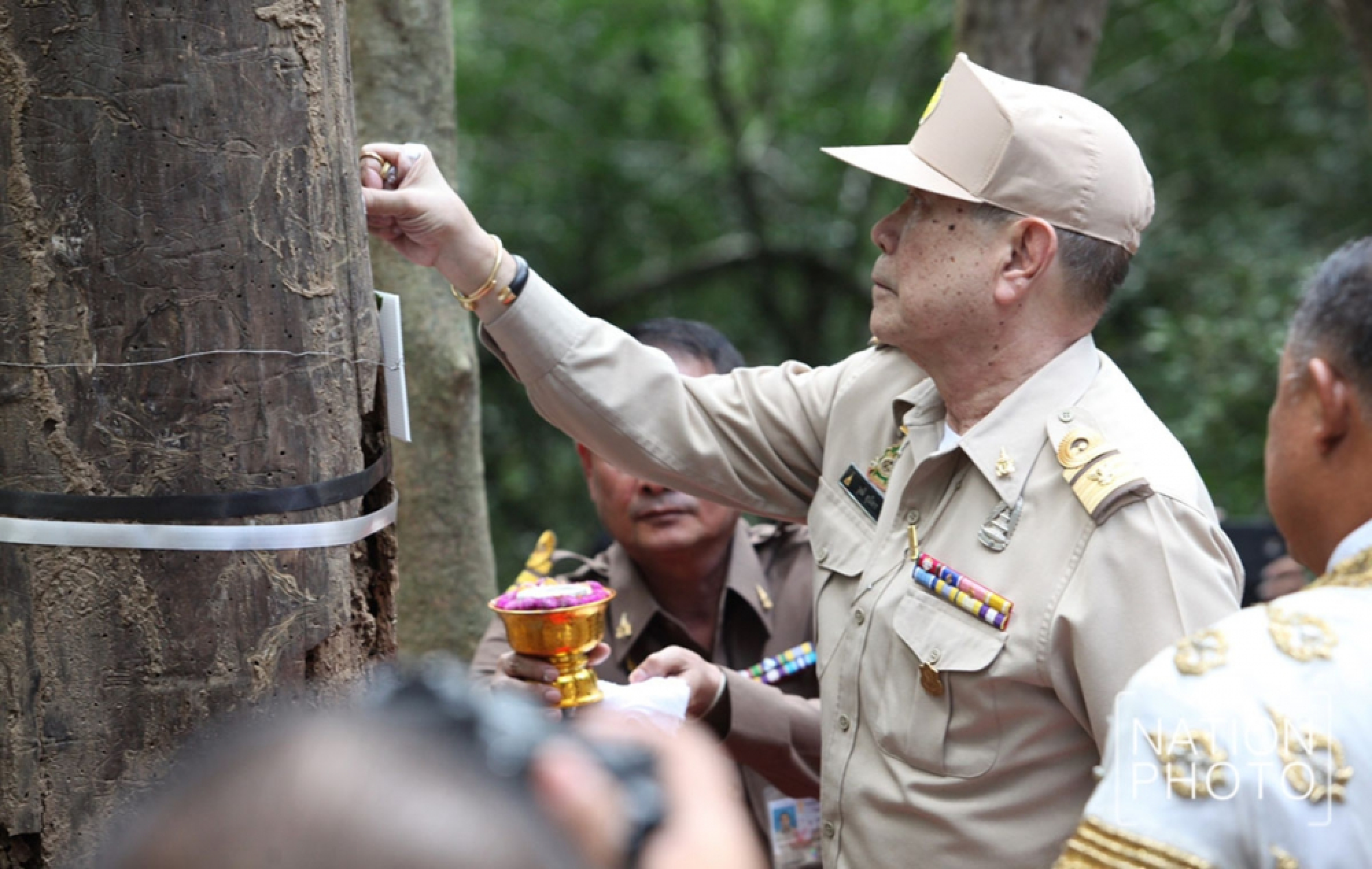 Ritual felling of cremation trees to be held at Kui Buri 
