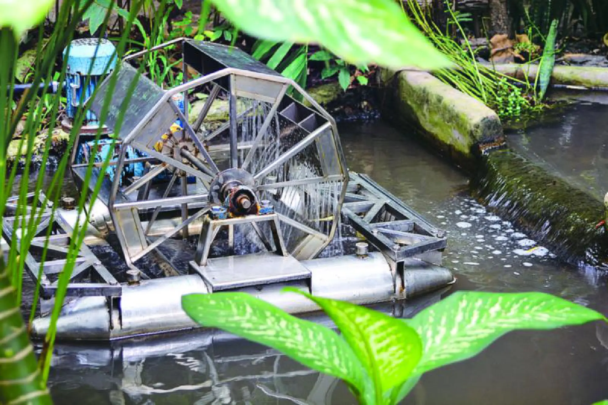 Remembering our Monarch 