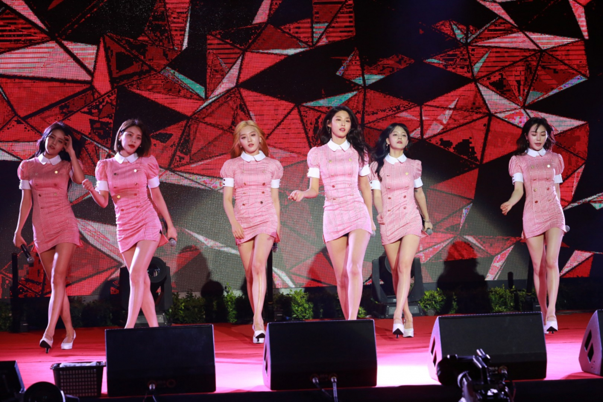 Hail to the hallyu