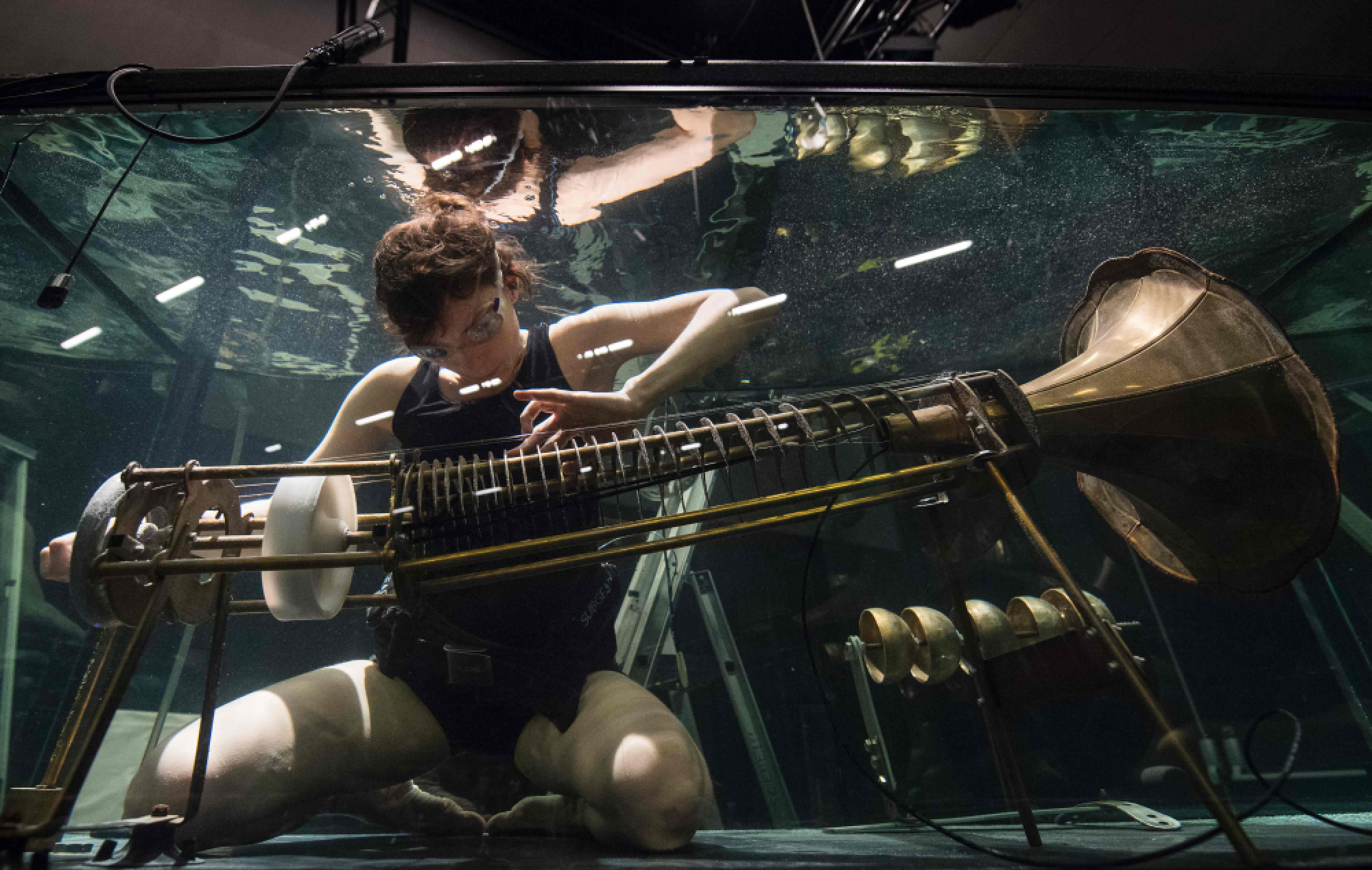  Musicians in aquariums make sounds in a silent world