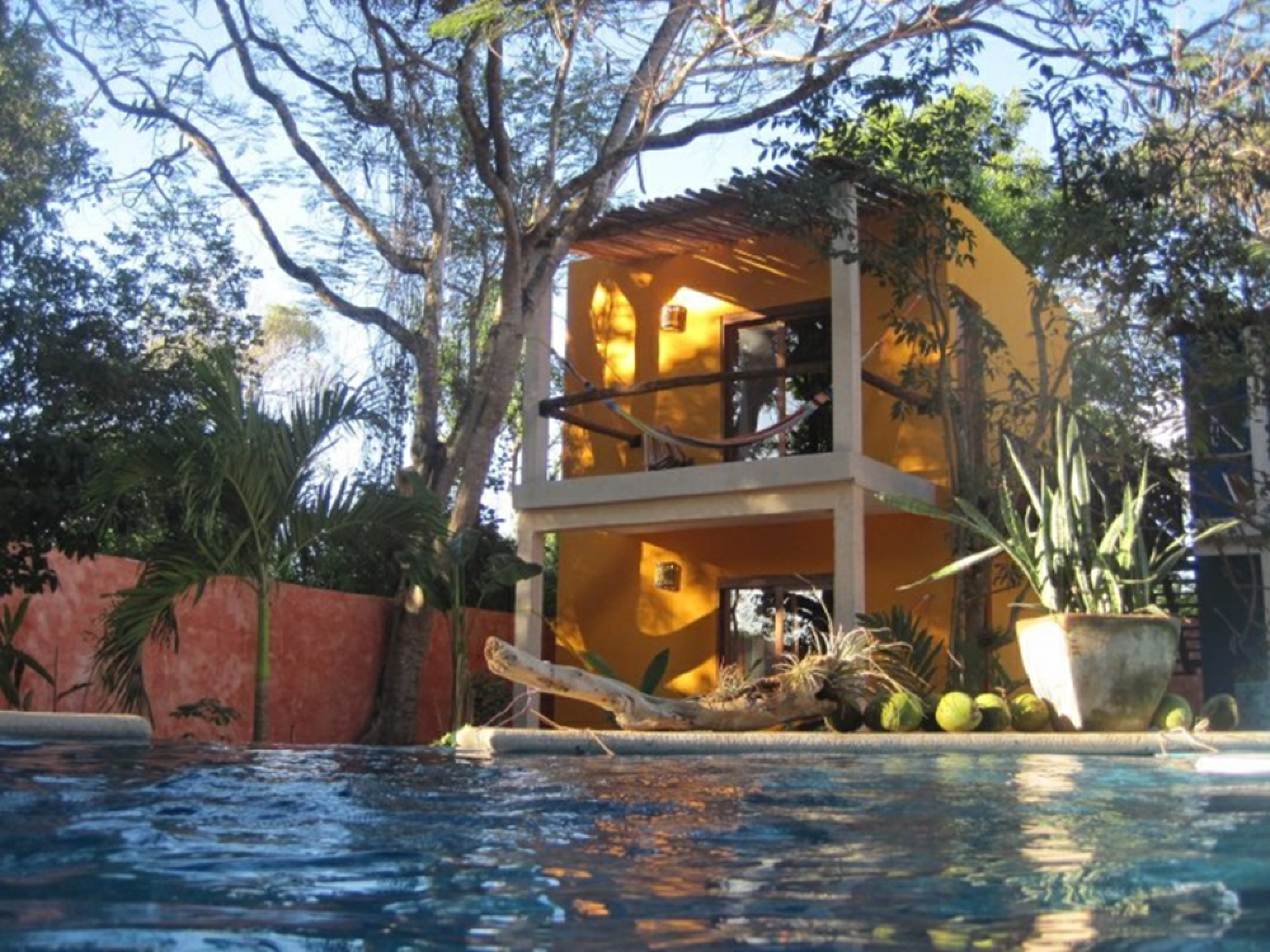 Holidays that purify