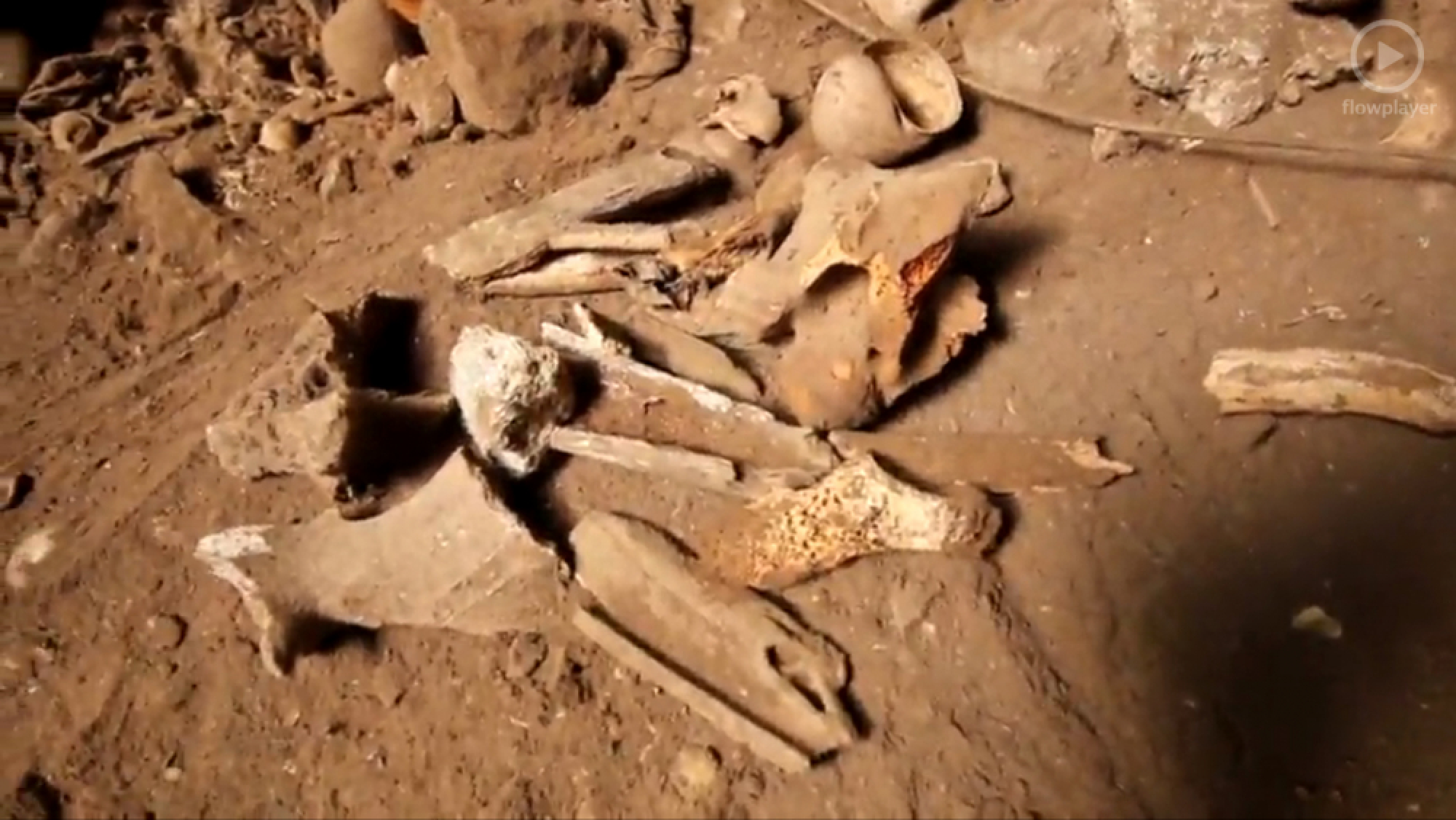 Ancient remains found in Krabi cave