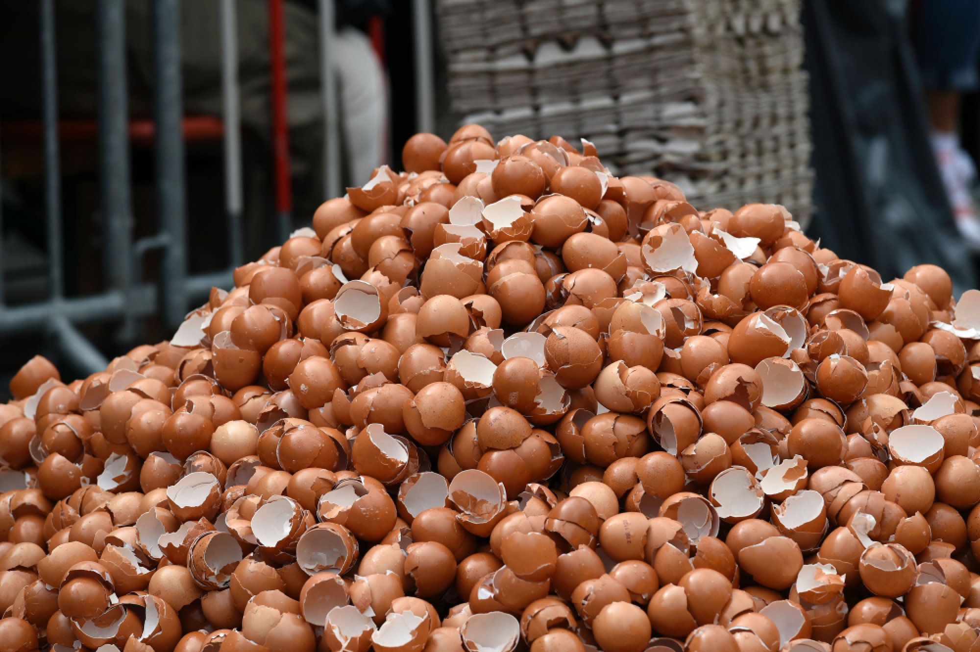 Two in Dutch court over tainted-eggs scandal