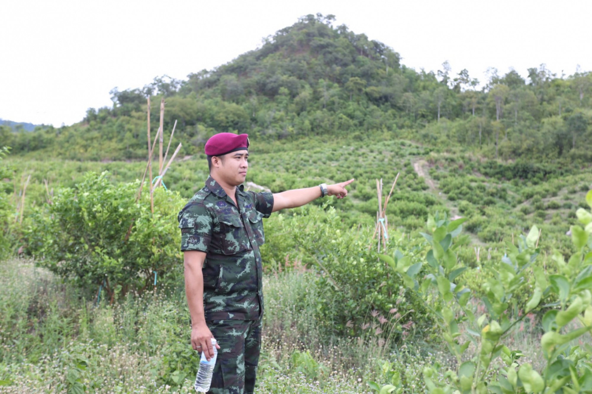 Probe launched into foreign farms on state borderland