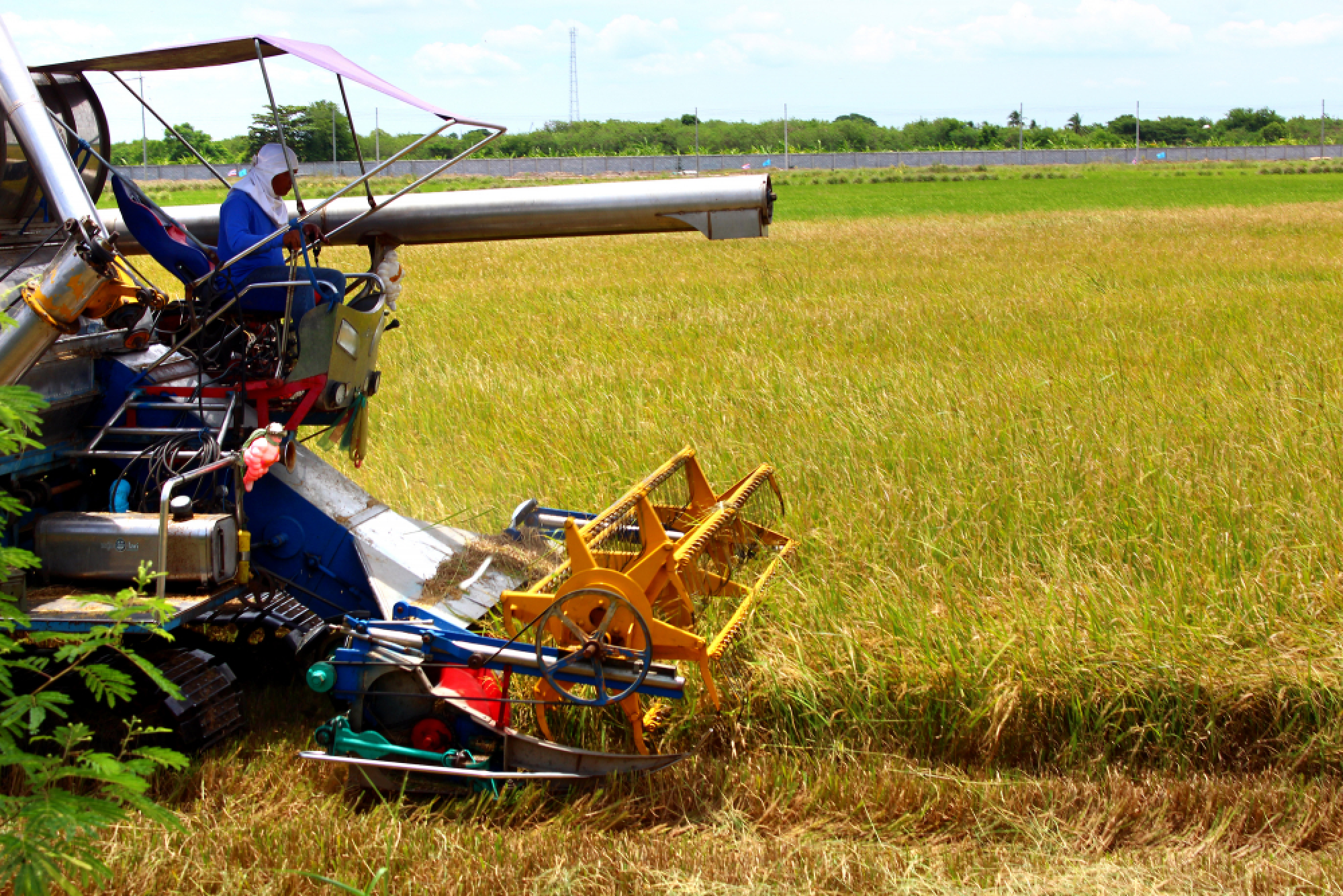 Farmers defend Yingluck scheme and ask for help