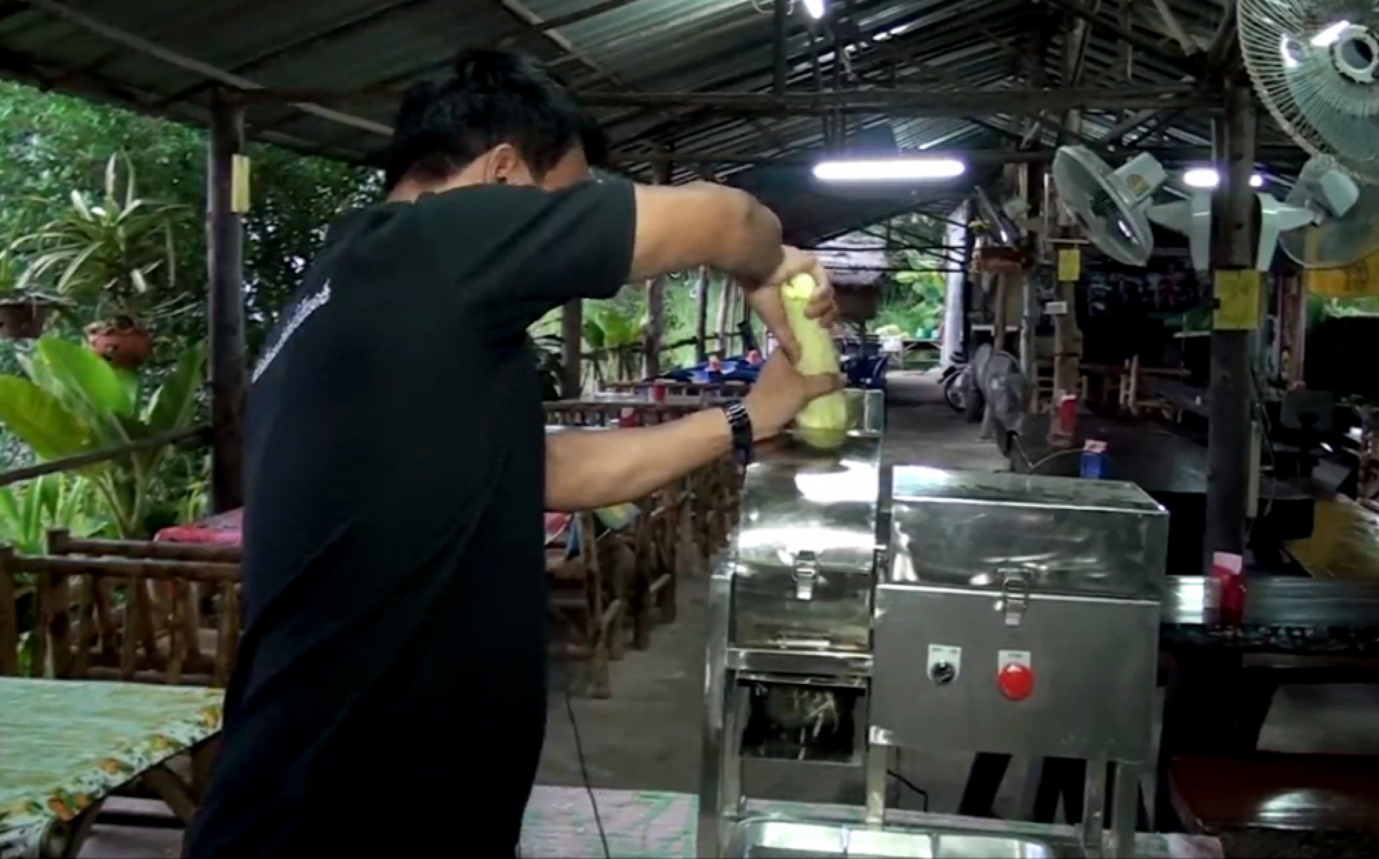 Thailand 4.0: Machine mimics vendor-sliced papaya