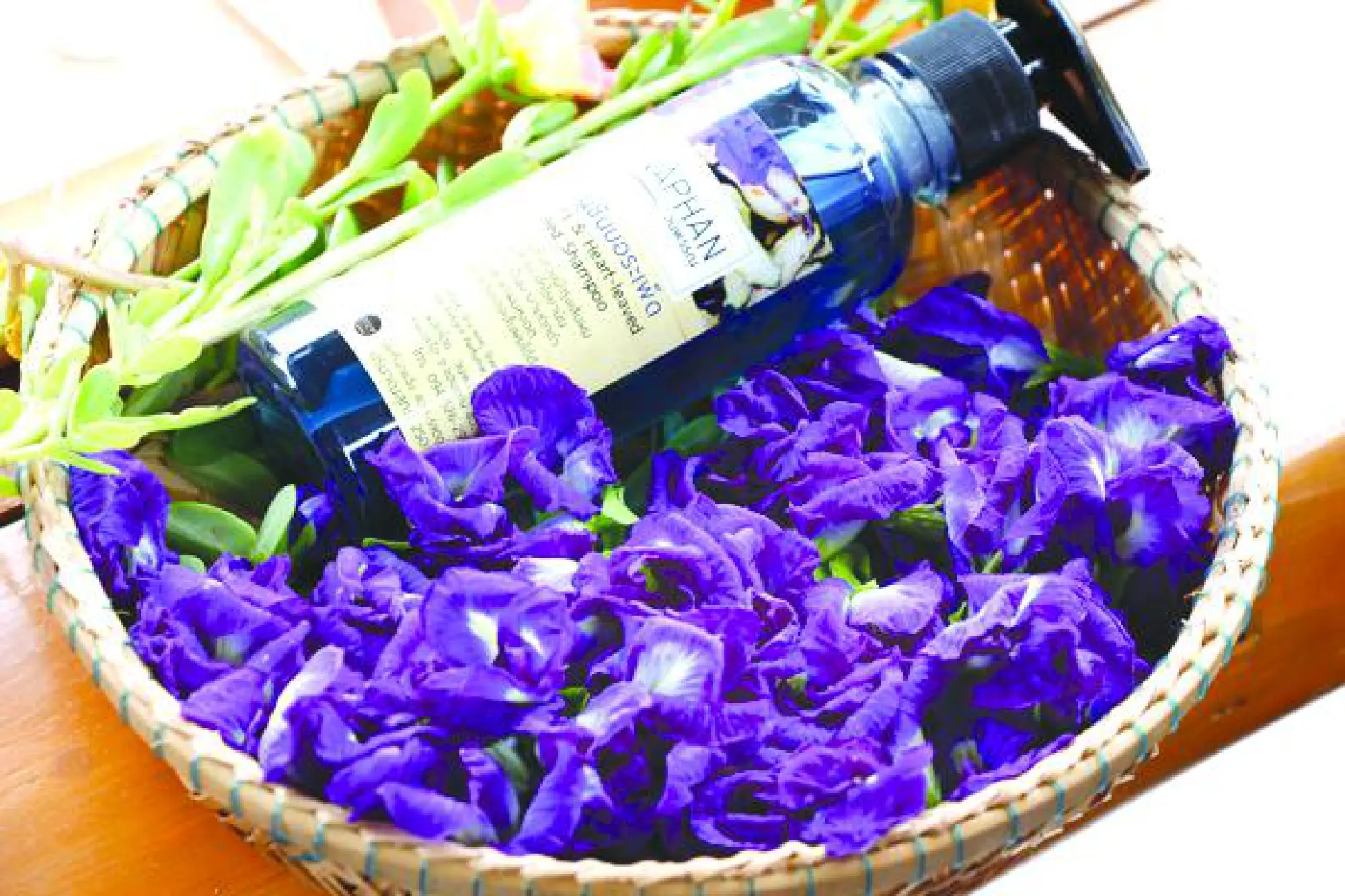 Home on the range in Khon Kaen