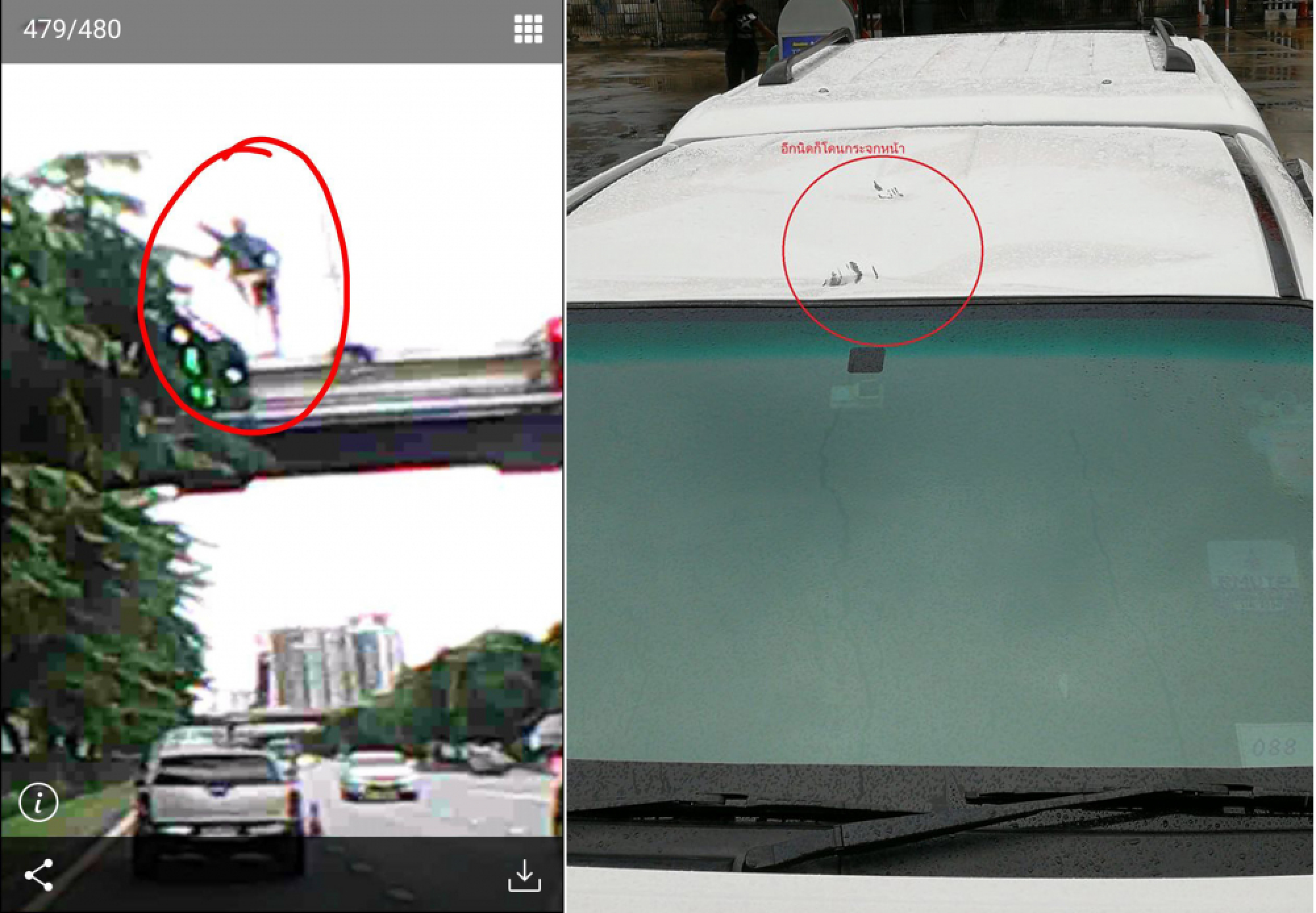 Overstaying Chinese tourist arrested for throwing 