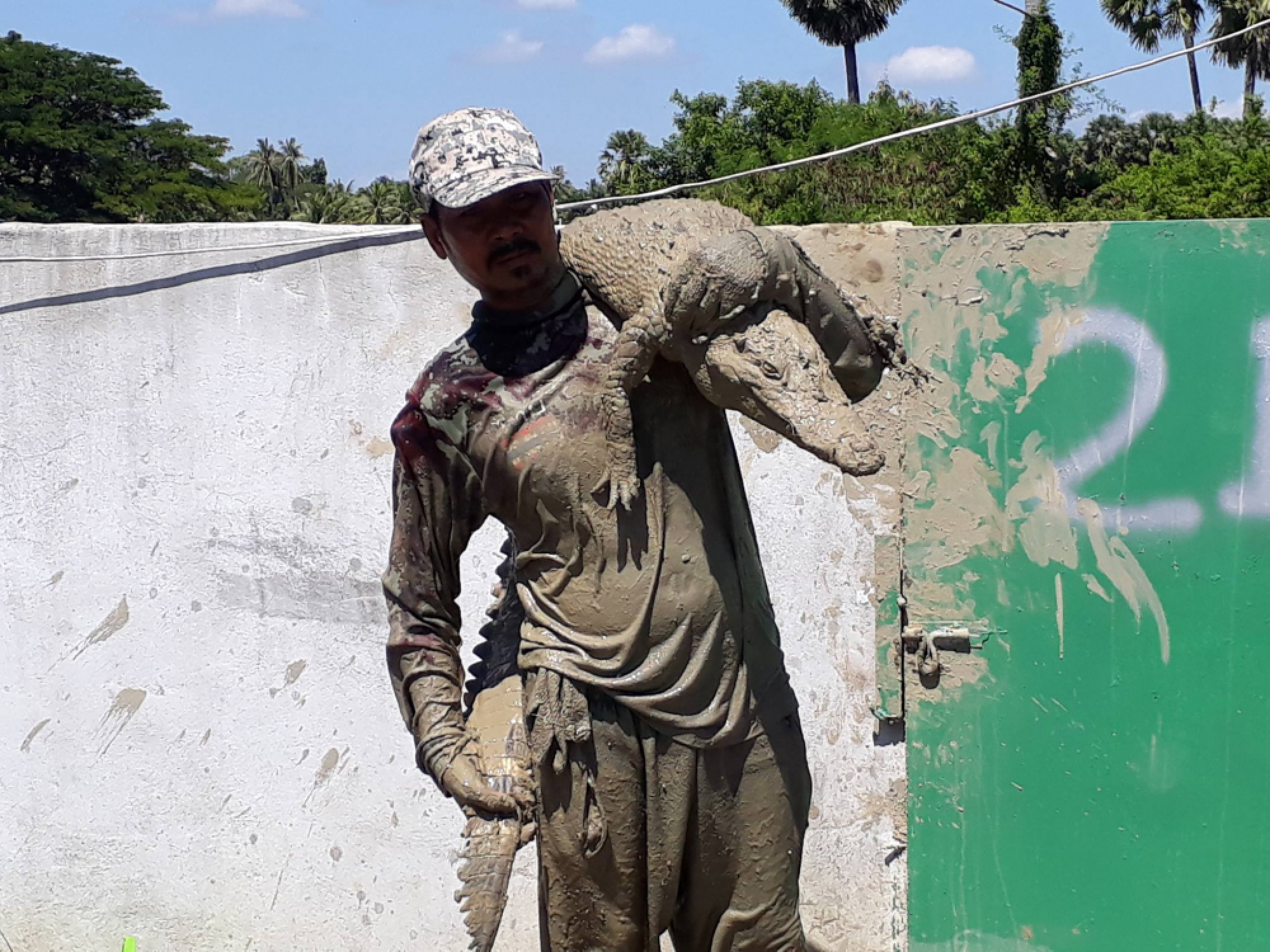 Songkhla villagers on high alert after mass crocodile escape