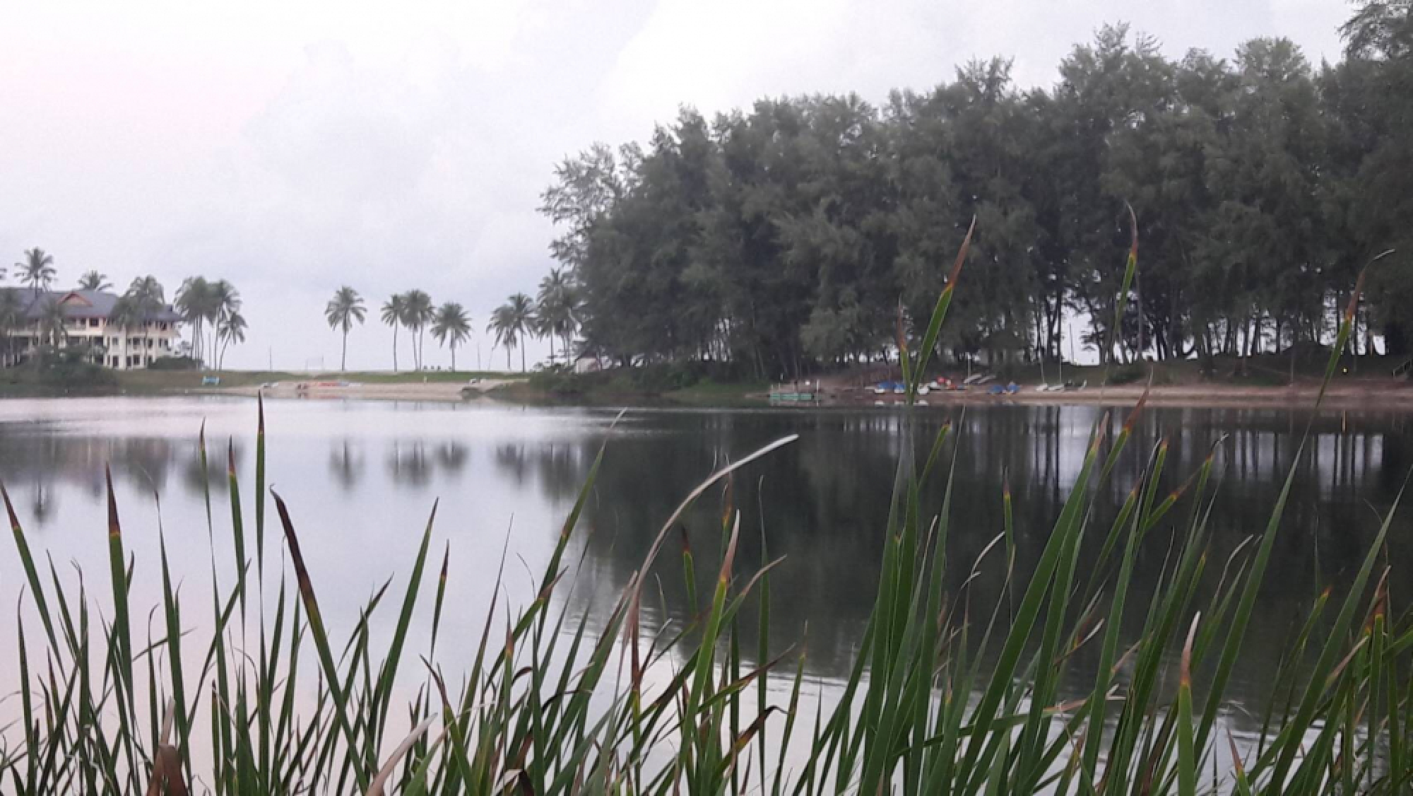 Phuket’s Croc Hunters