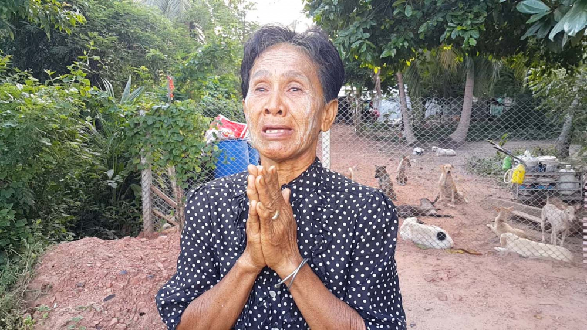 Squatter with 43 stray dogs told to vacate plot in 20 days