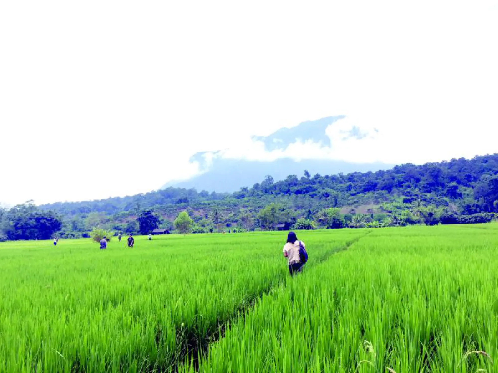 Making the most of mother nature