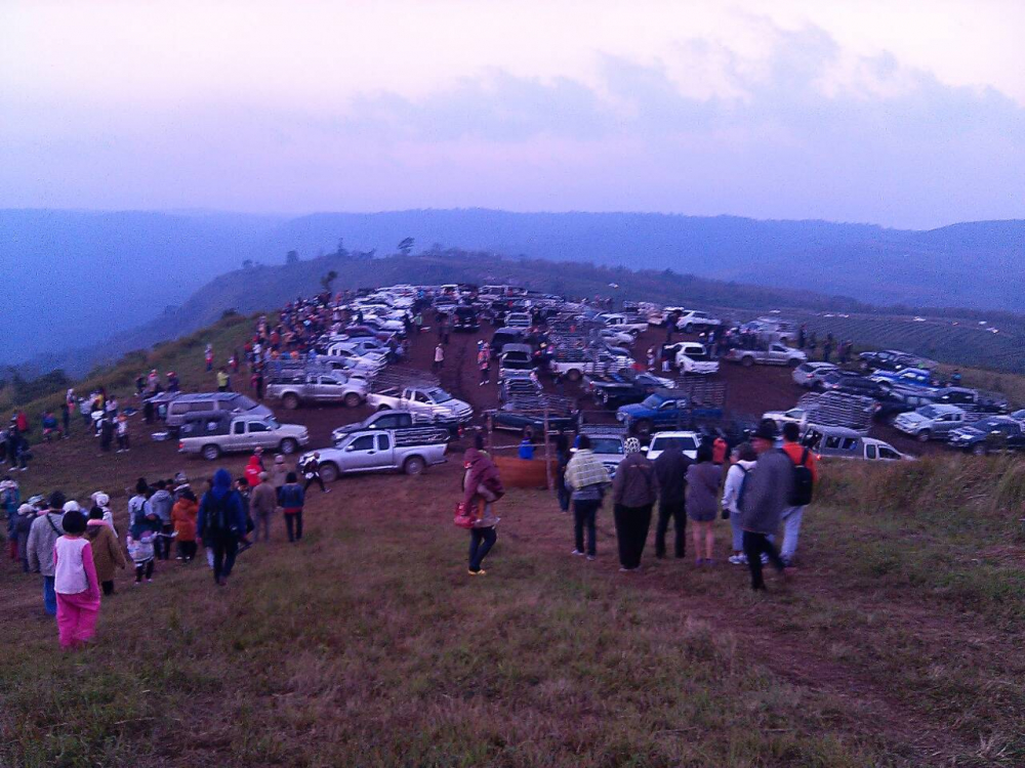 Cherry blossoms’ popularity leads to vehicle ban in Phitsanulok park