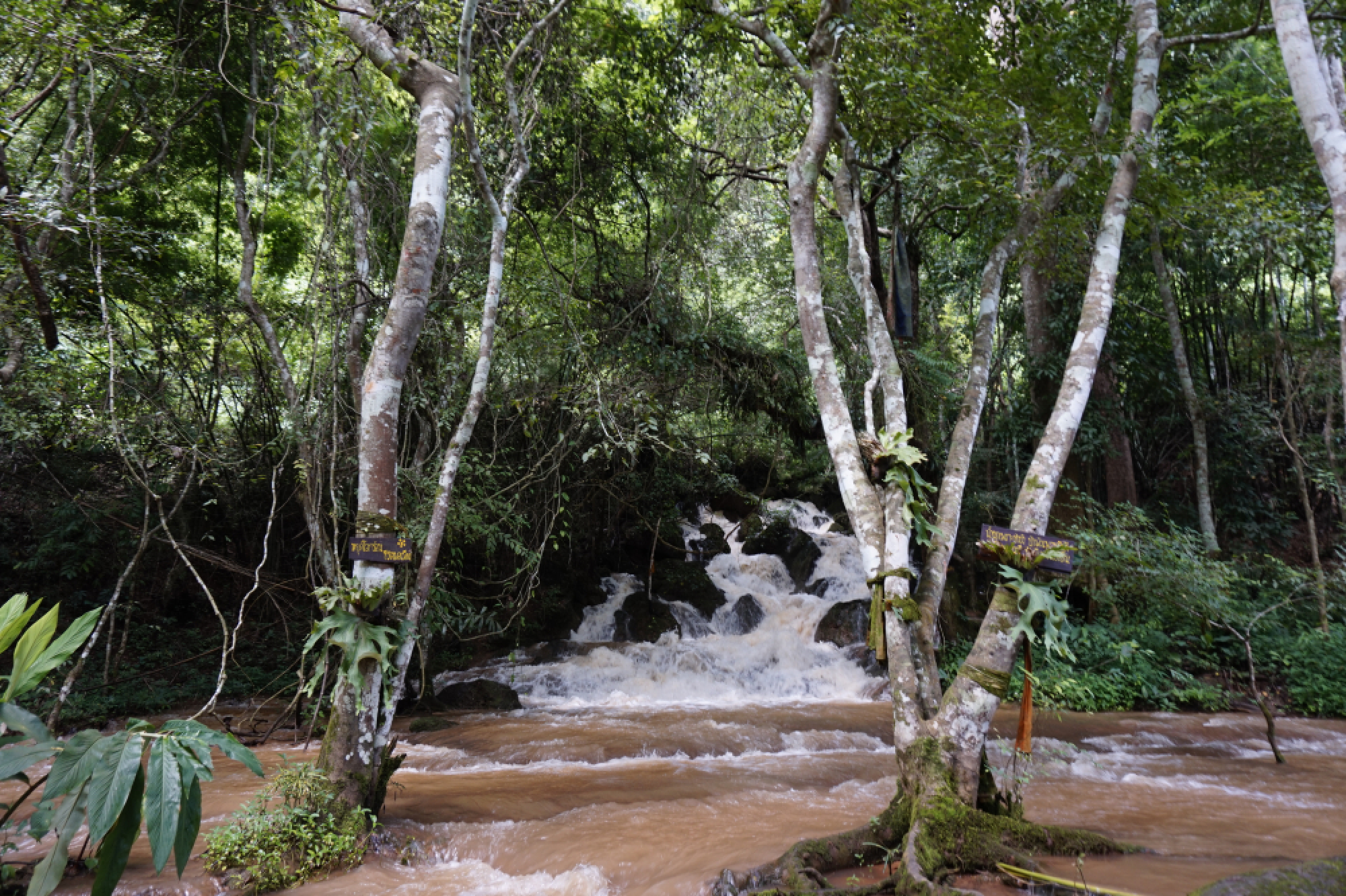 Making the most of mother nature