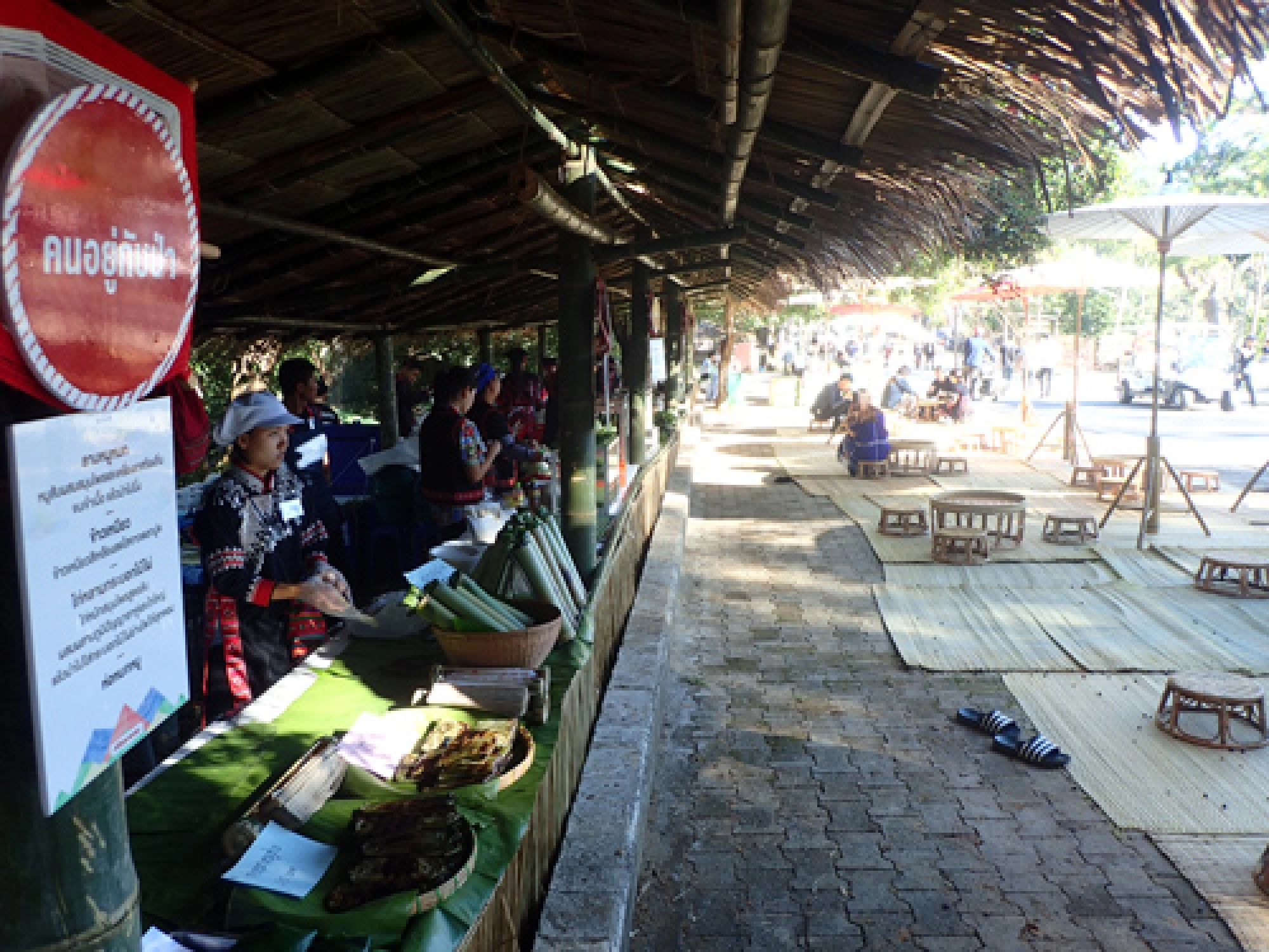 Where the HILLS come alive