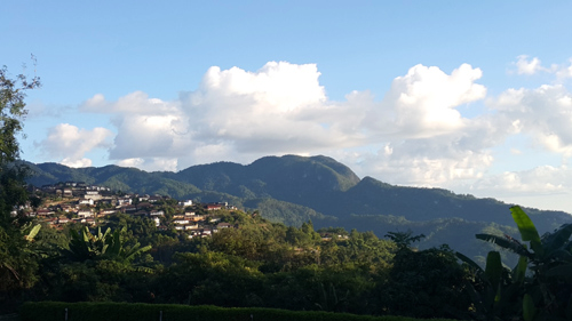 Where the HILLS come alive