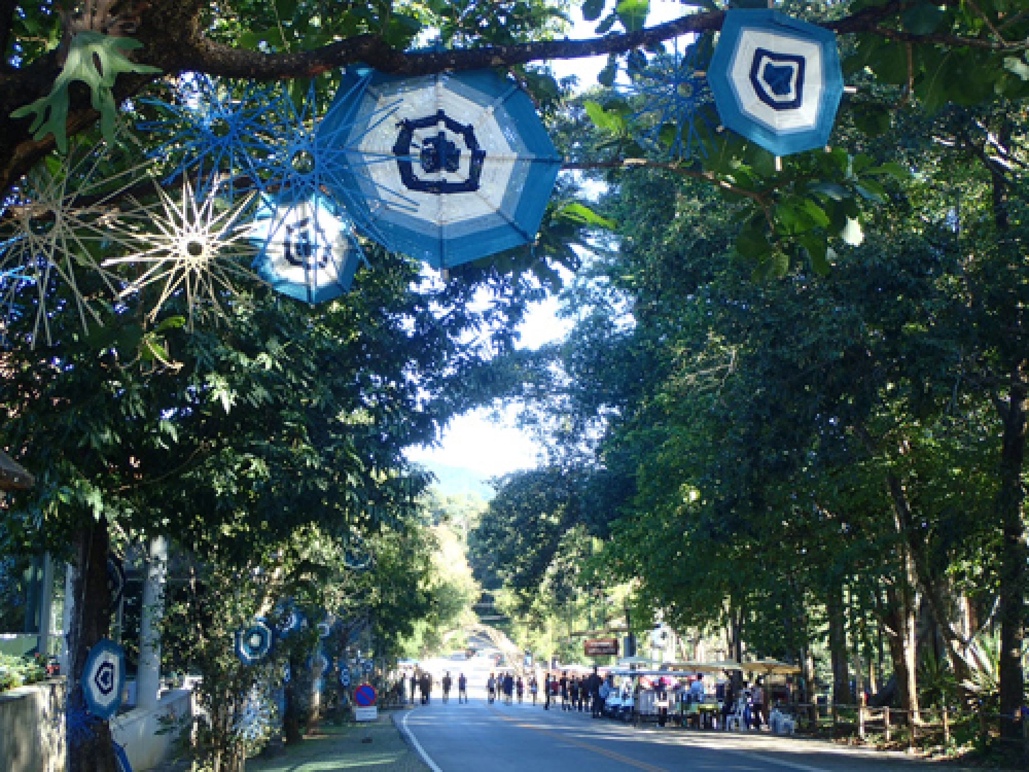 Where the HILLS come alive