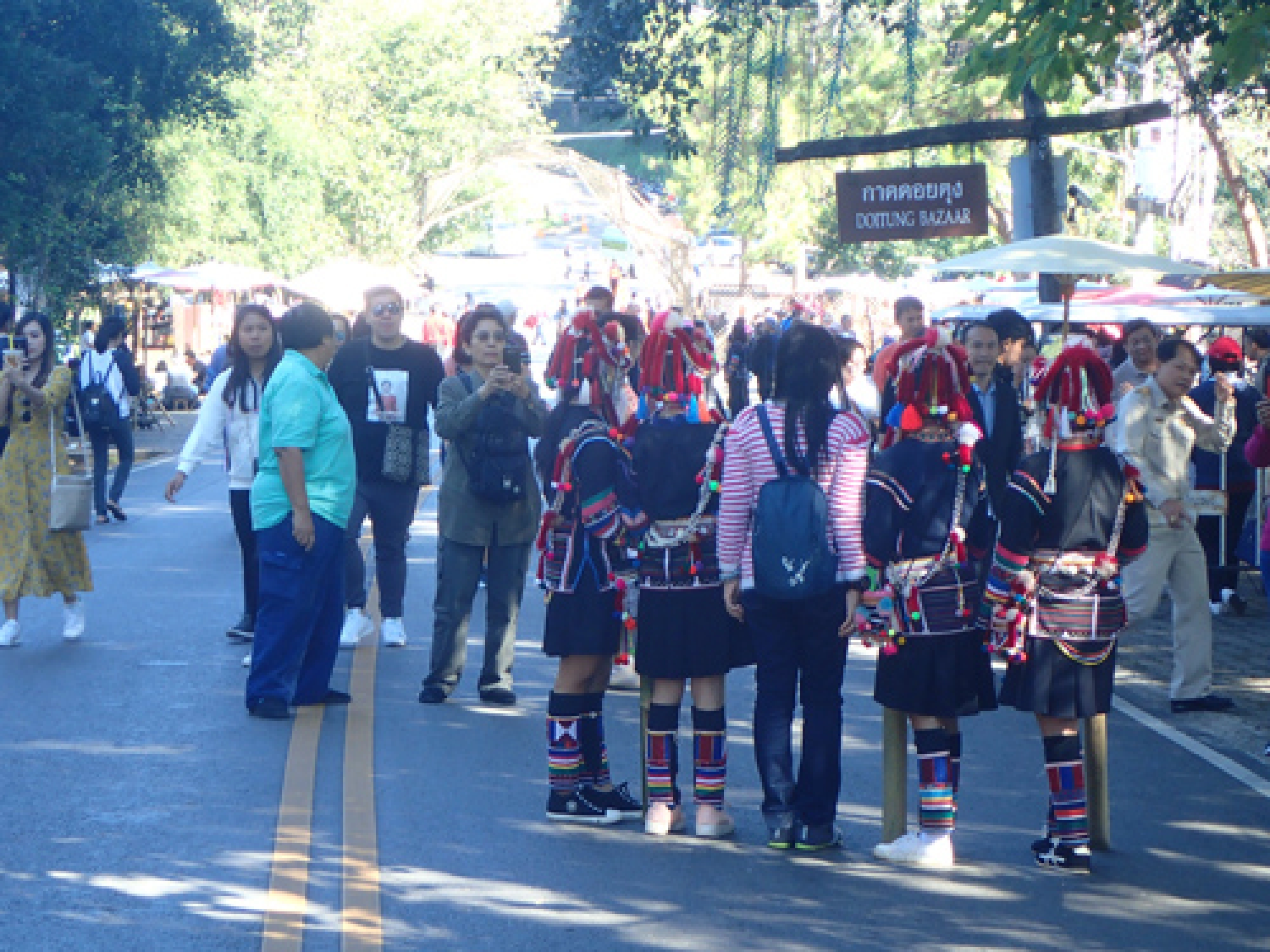 Where the HILLS come alive