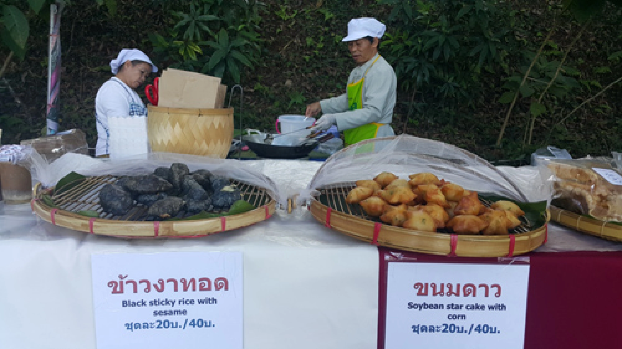 Where the HILLS come alive