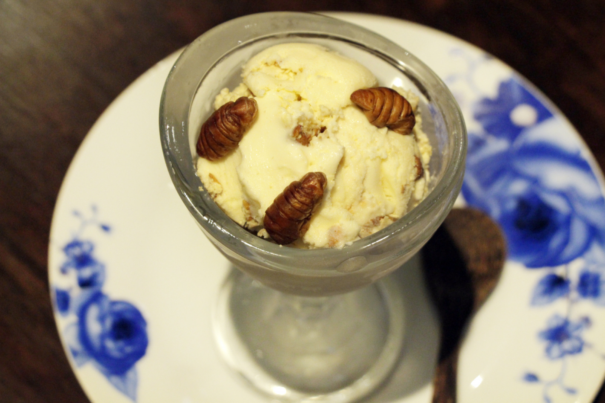 Noah’s Ark now boarding