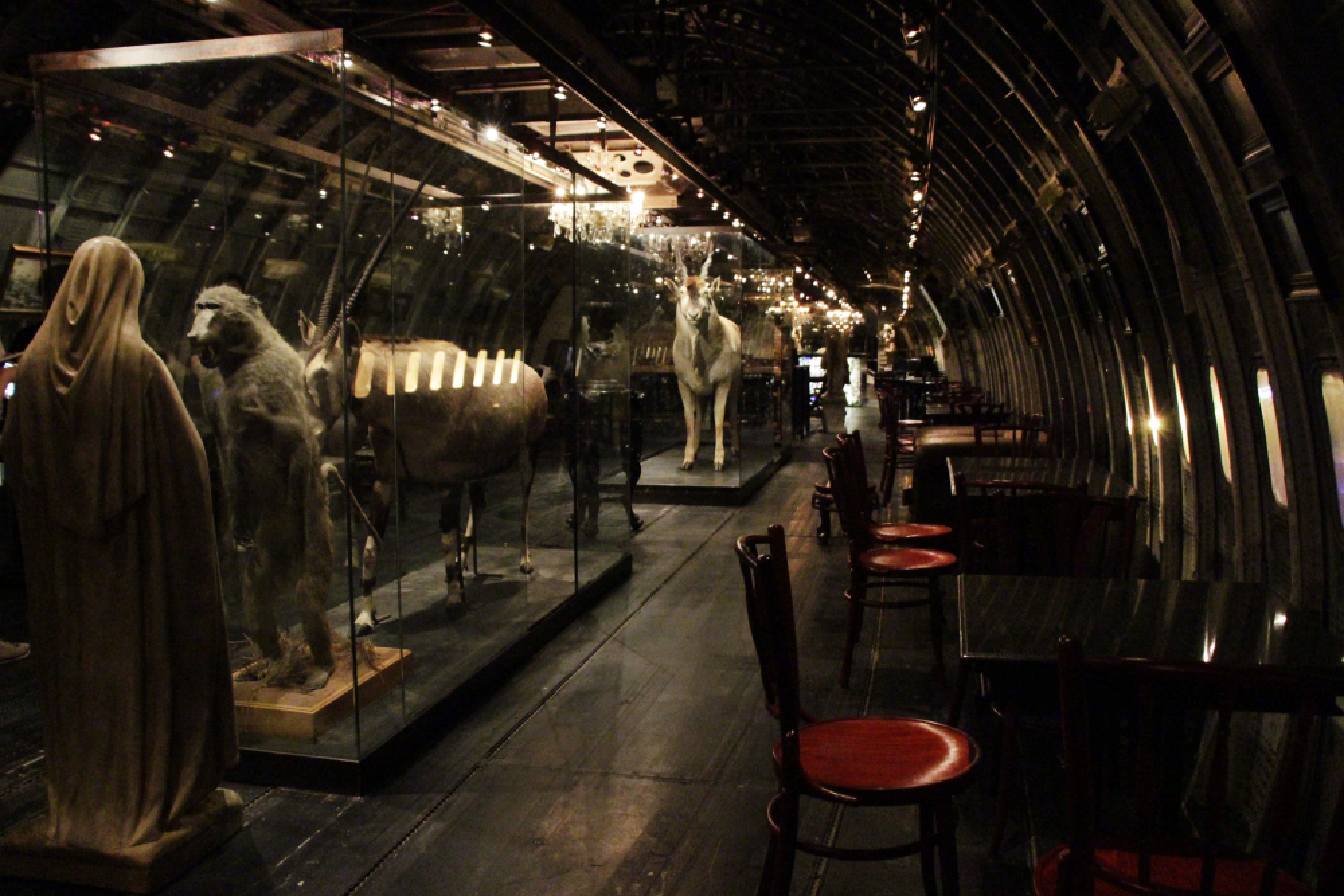 Noah’s Ark now boarding