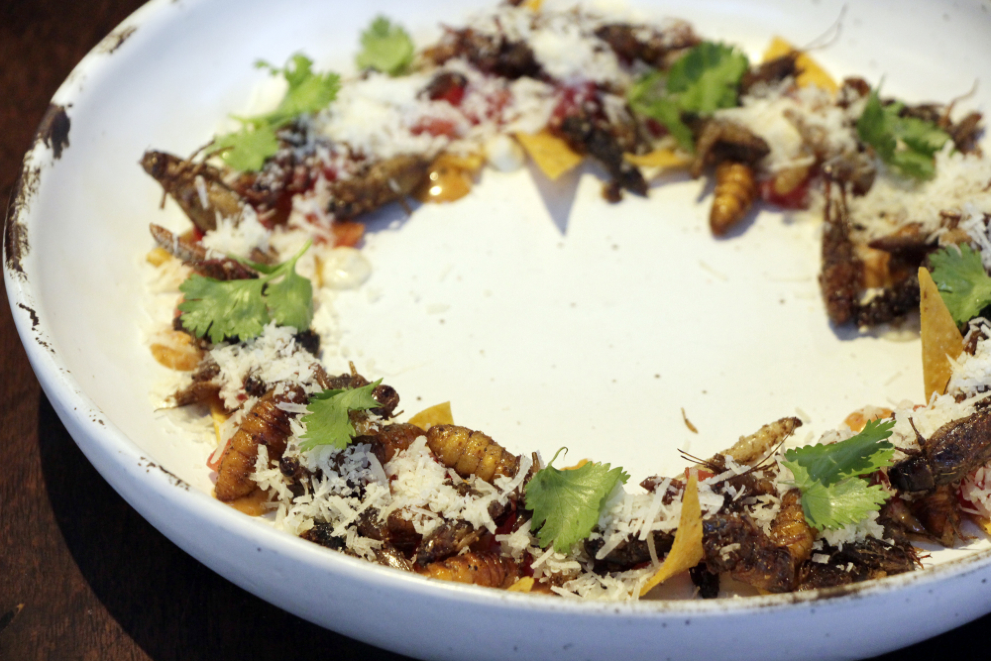 Noah’s Ark now boarding