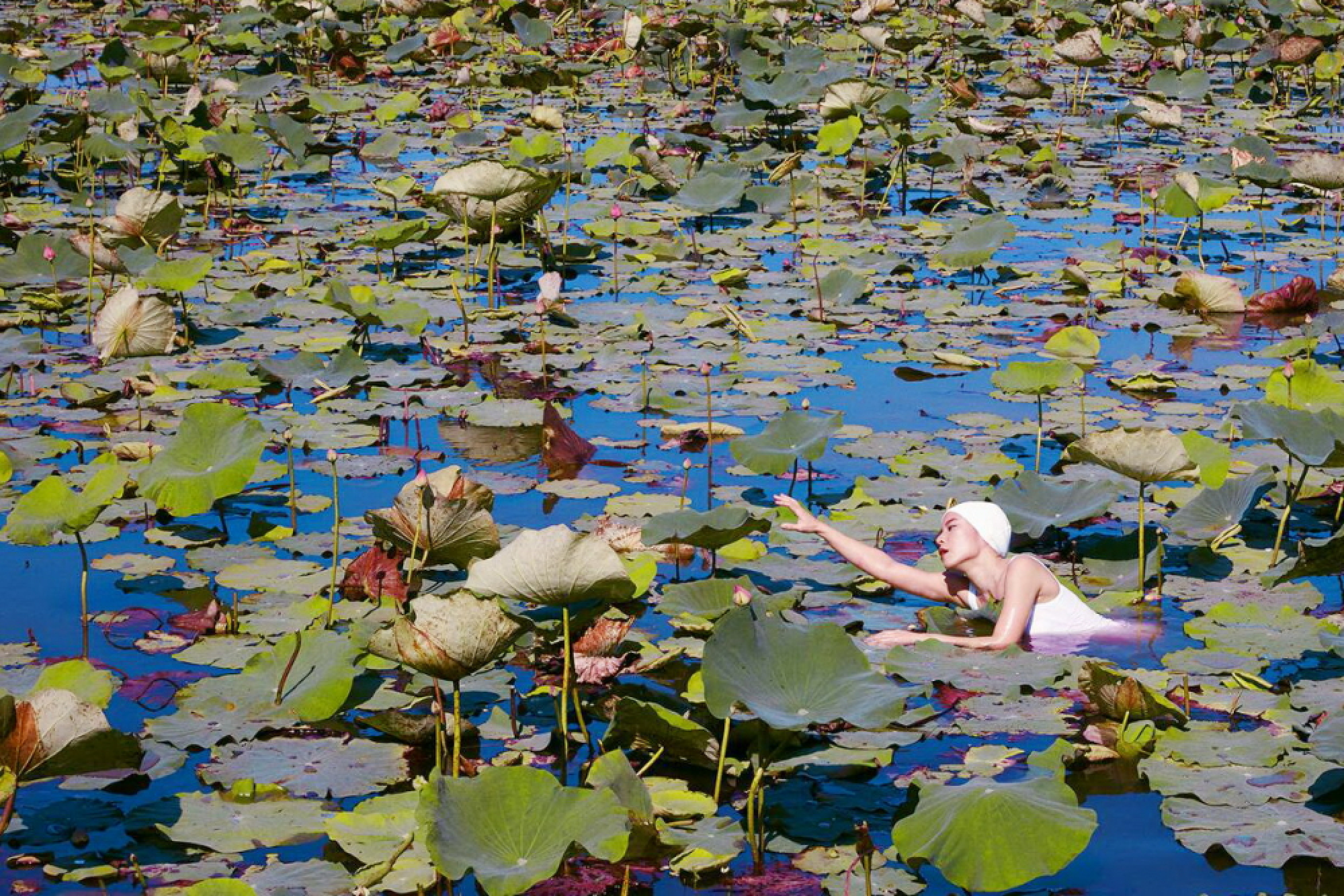 2018 Dance and Theatre Preview