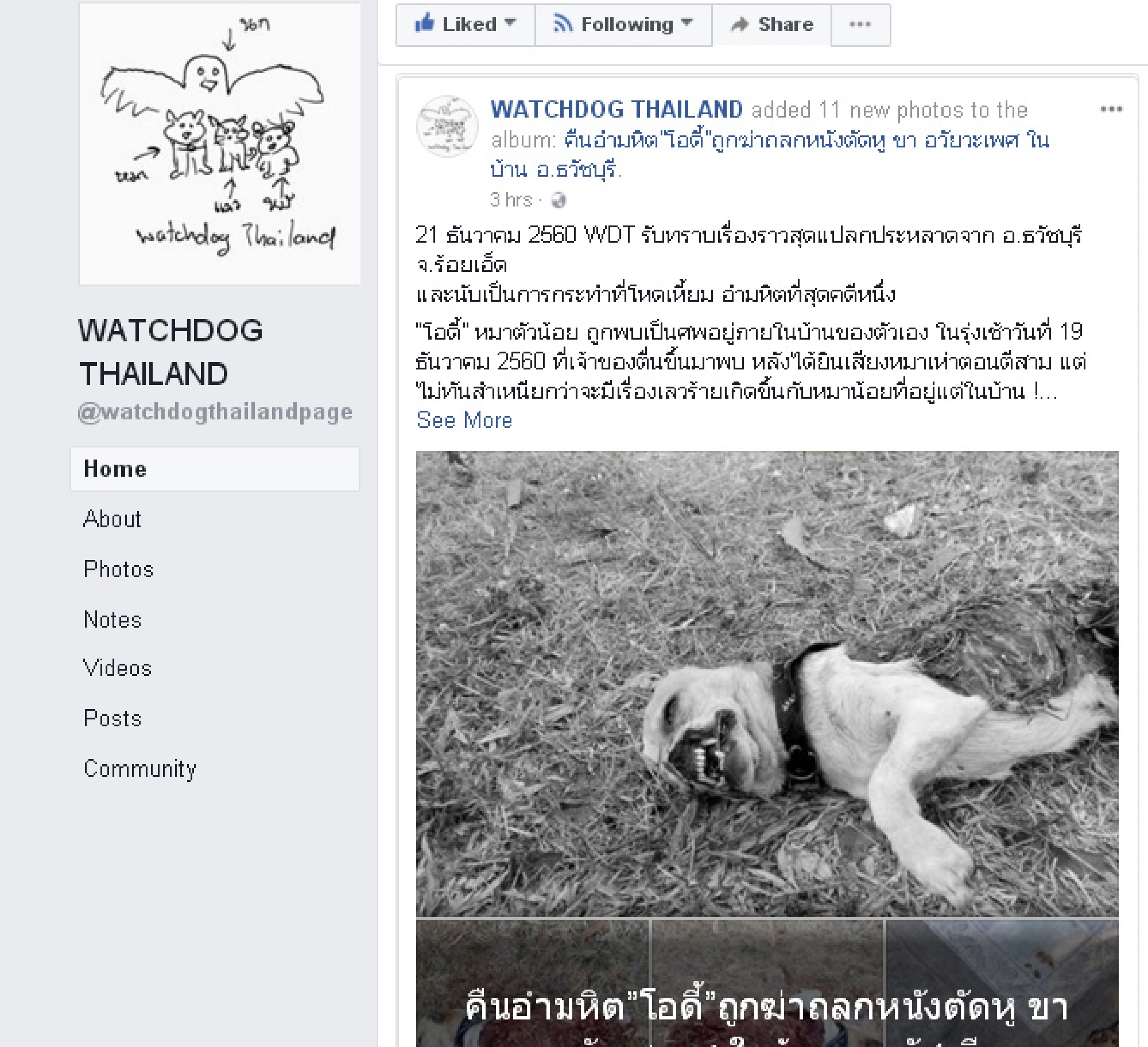 Police seek heartless dog killer