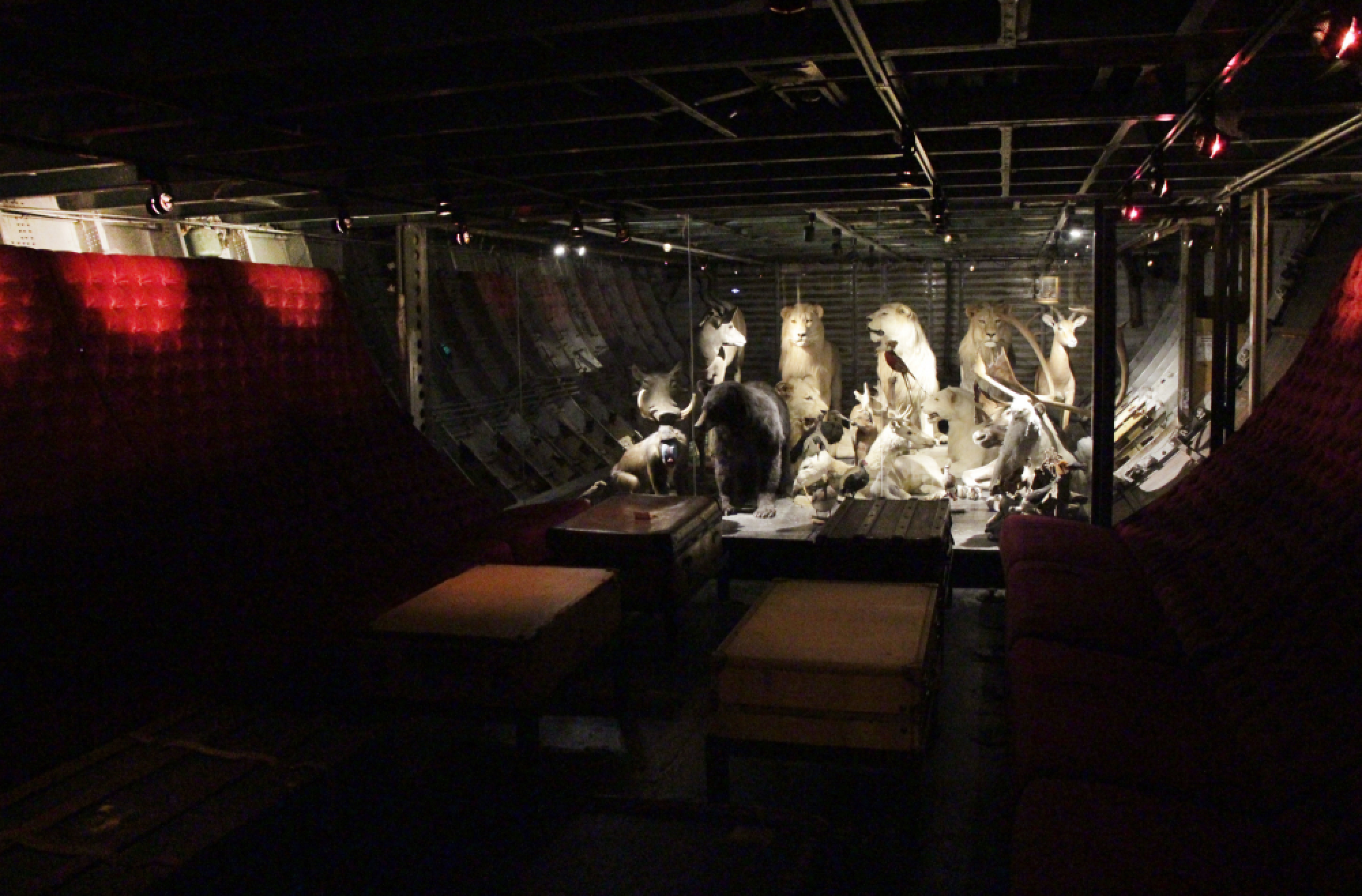 Noah’s Ark now boarding