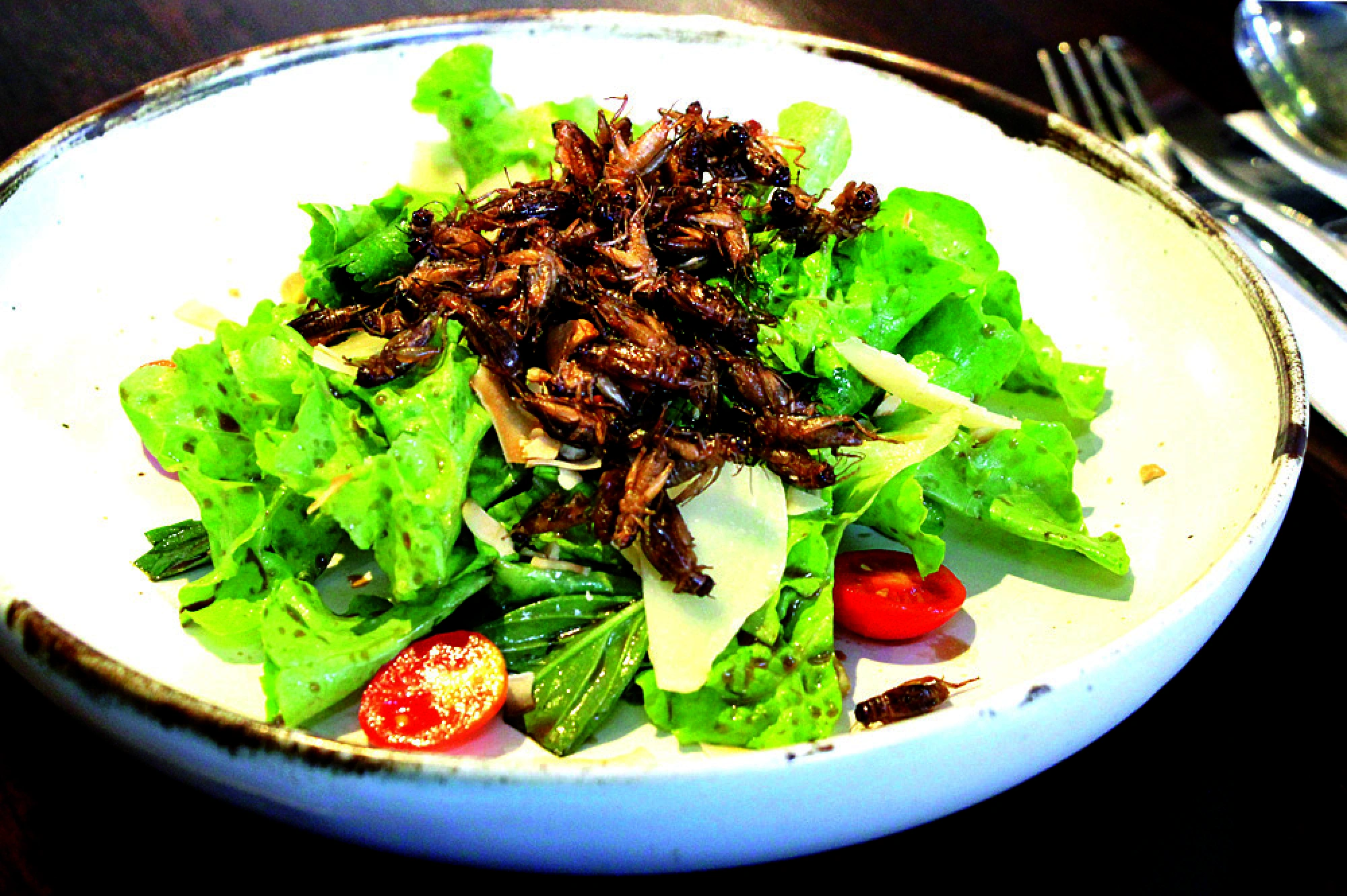 Noah’s Ark now boarding