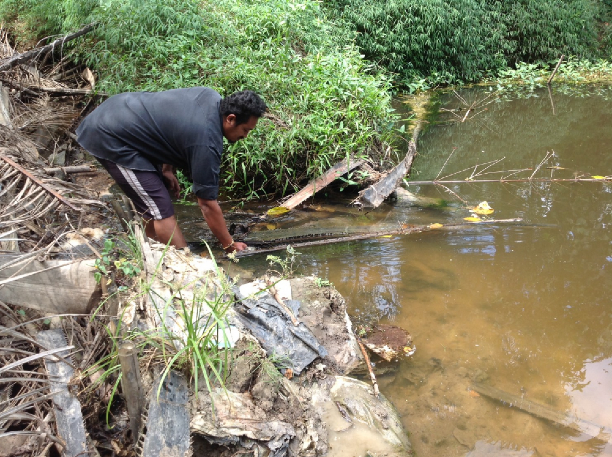 Krabi locals complain about ‘stinky, black’ discharge from palm oil factory
