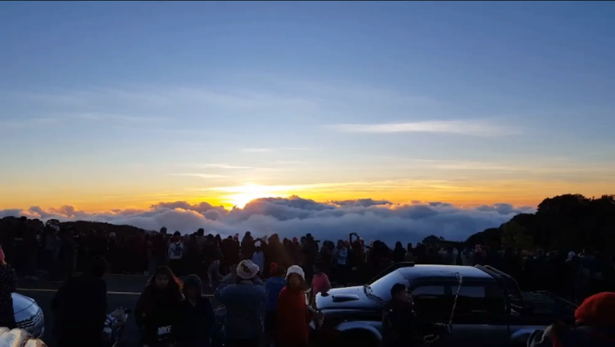 Swarm of tourists savour sea of mist