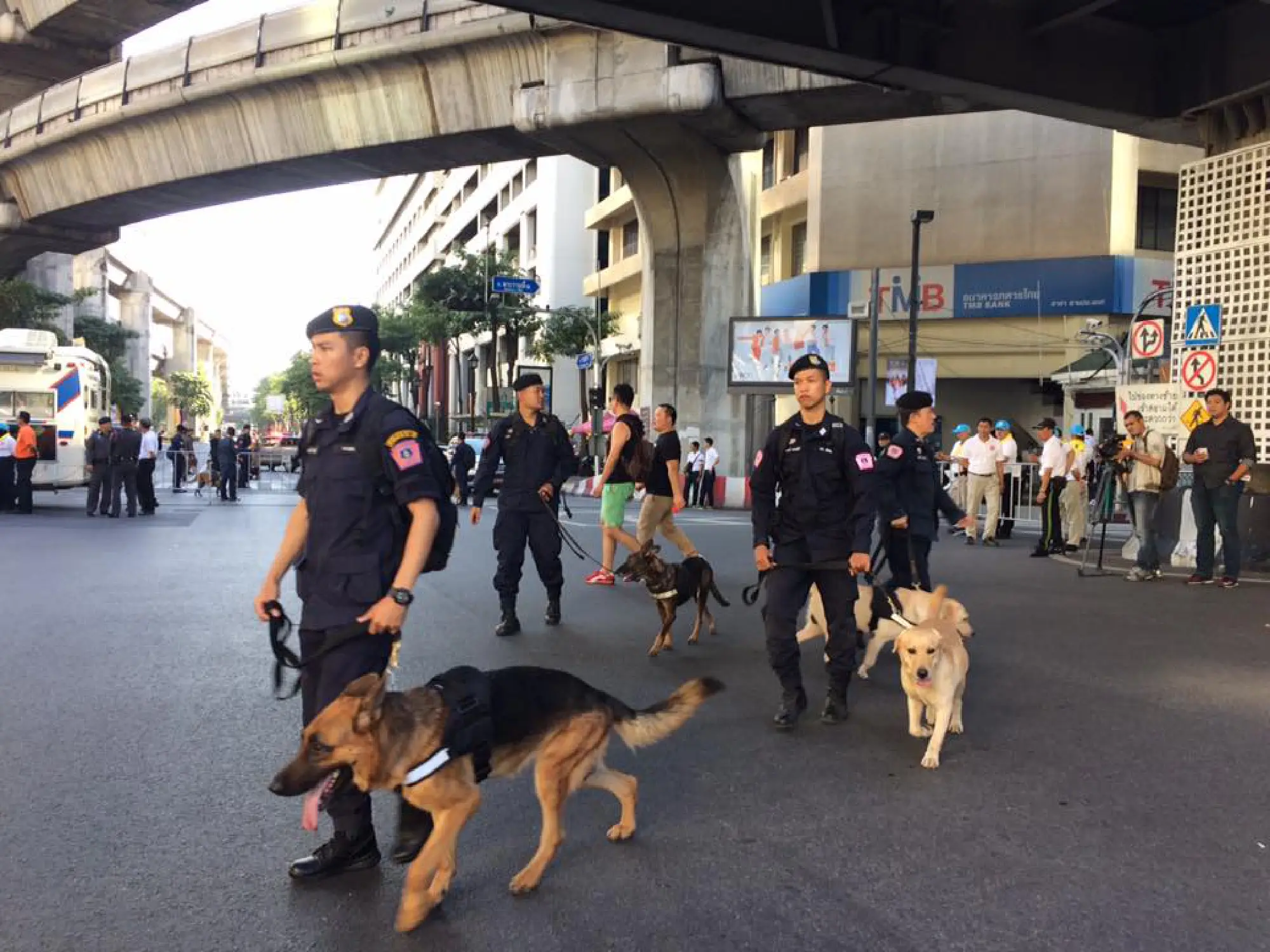 Stunning light shows and temple prayers usher in 2018
