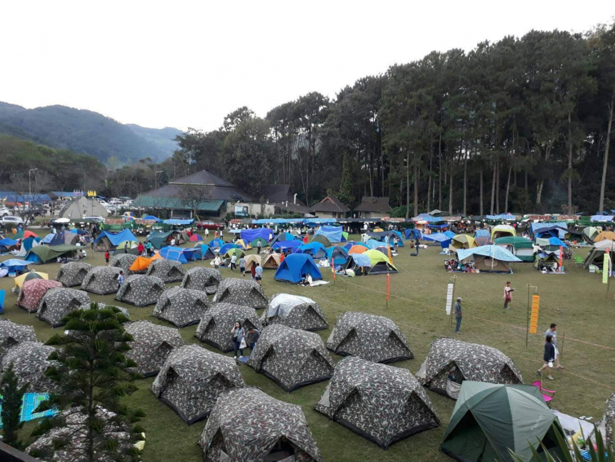Thousands gather at Doi Inthanon to usher in New Year
