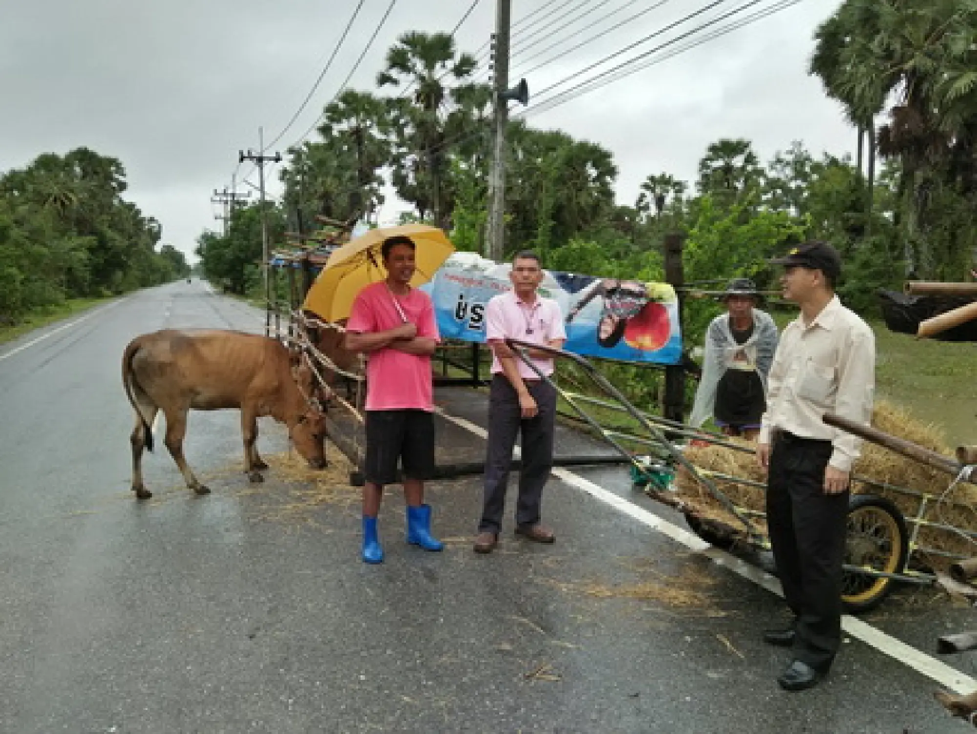 Starving animals get emergency hay