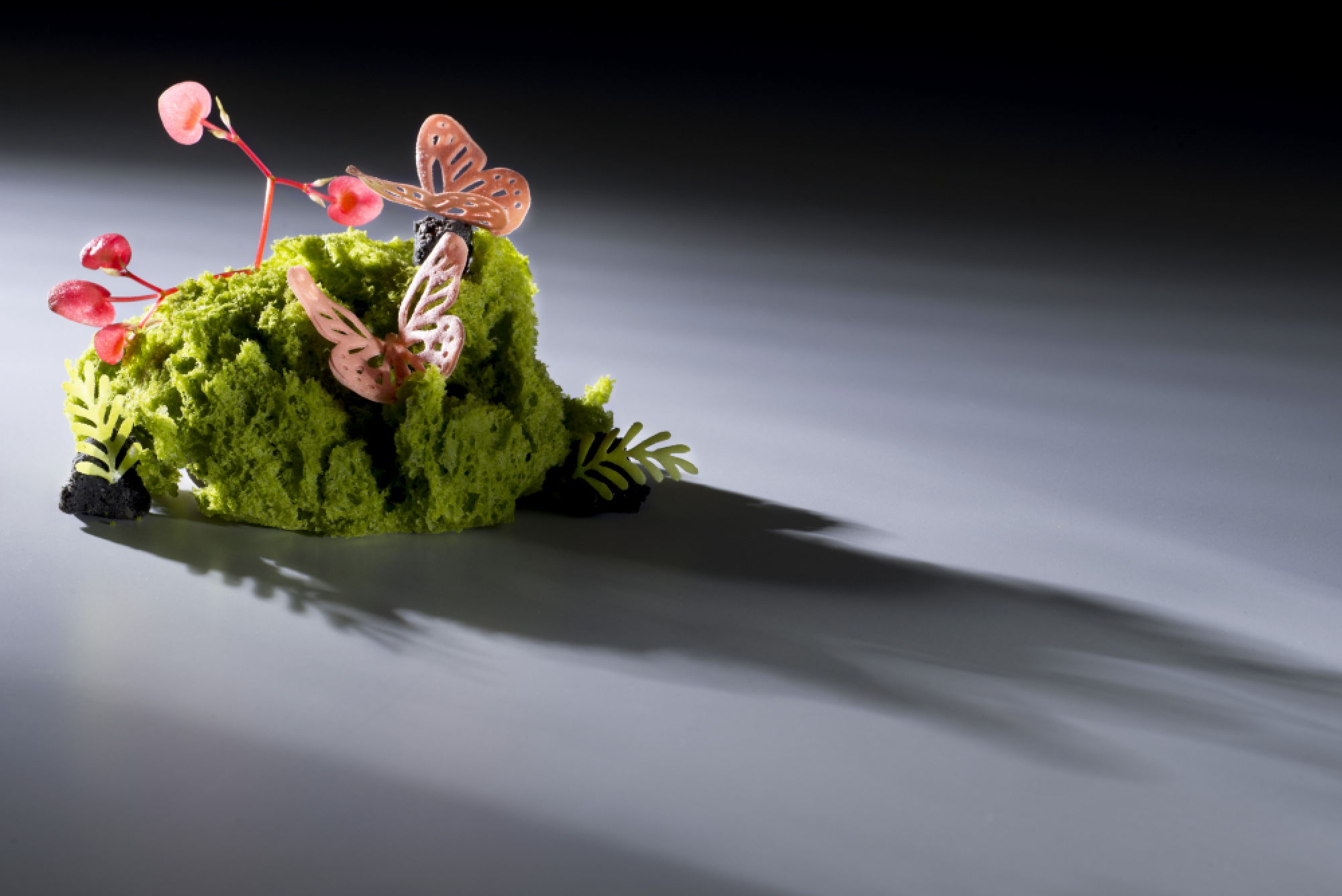 Dining with the stars