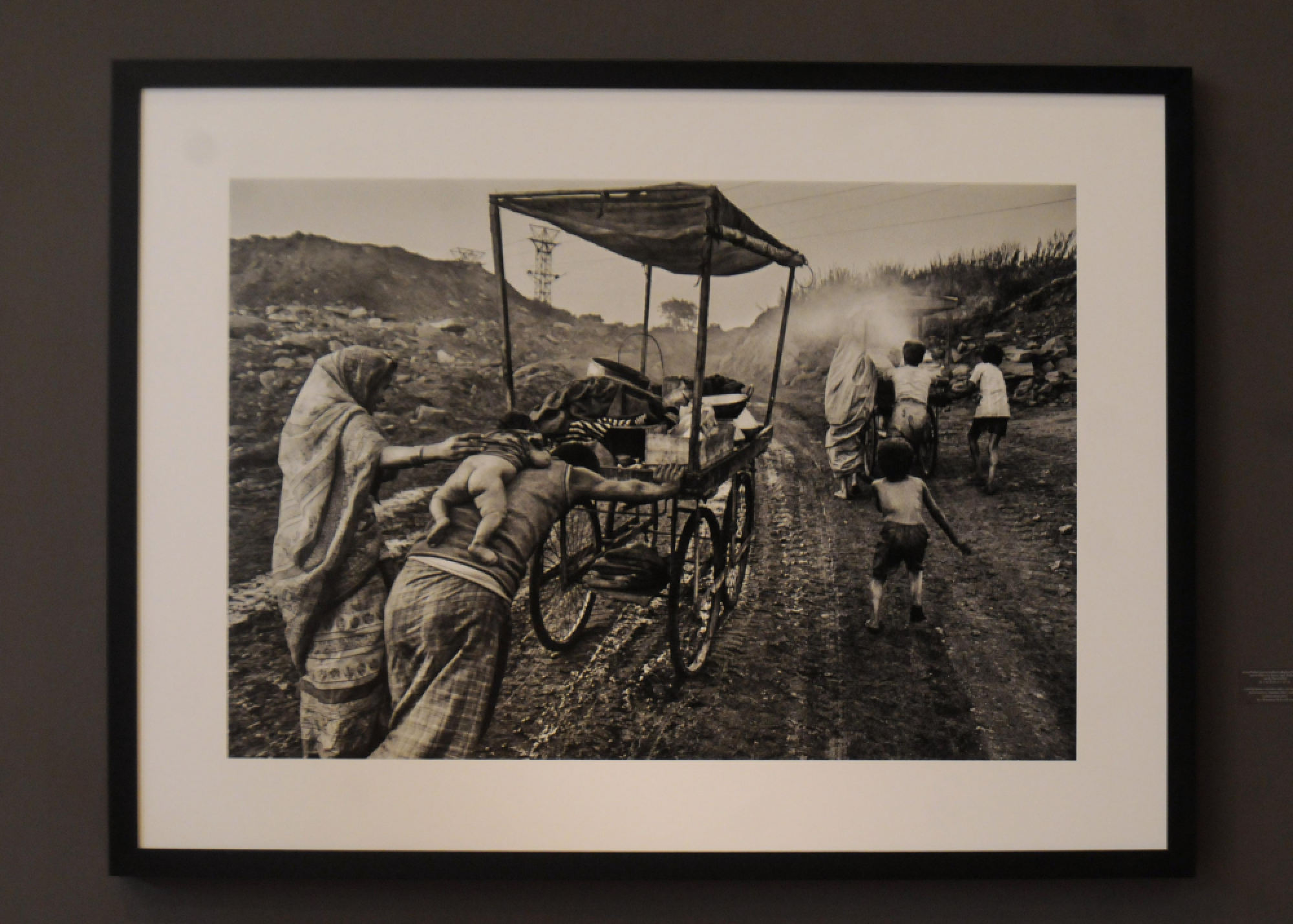 A gift from Salgado