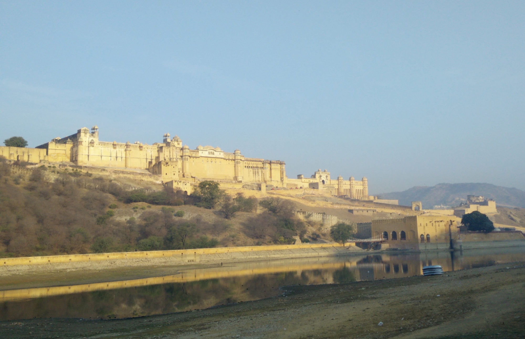 Elephants at the Palace
