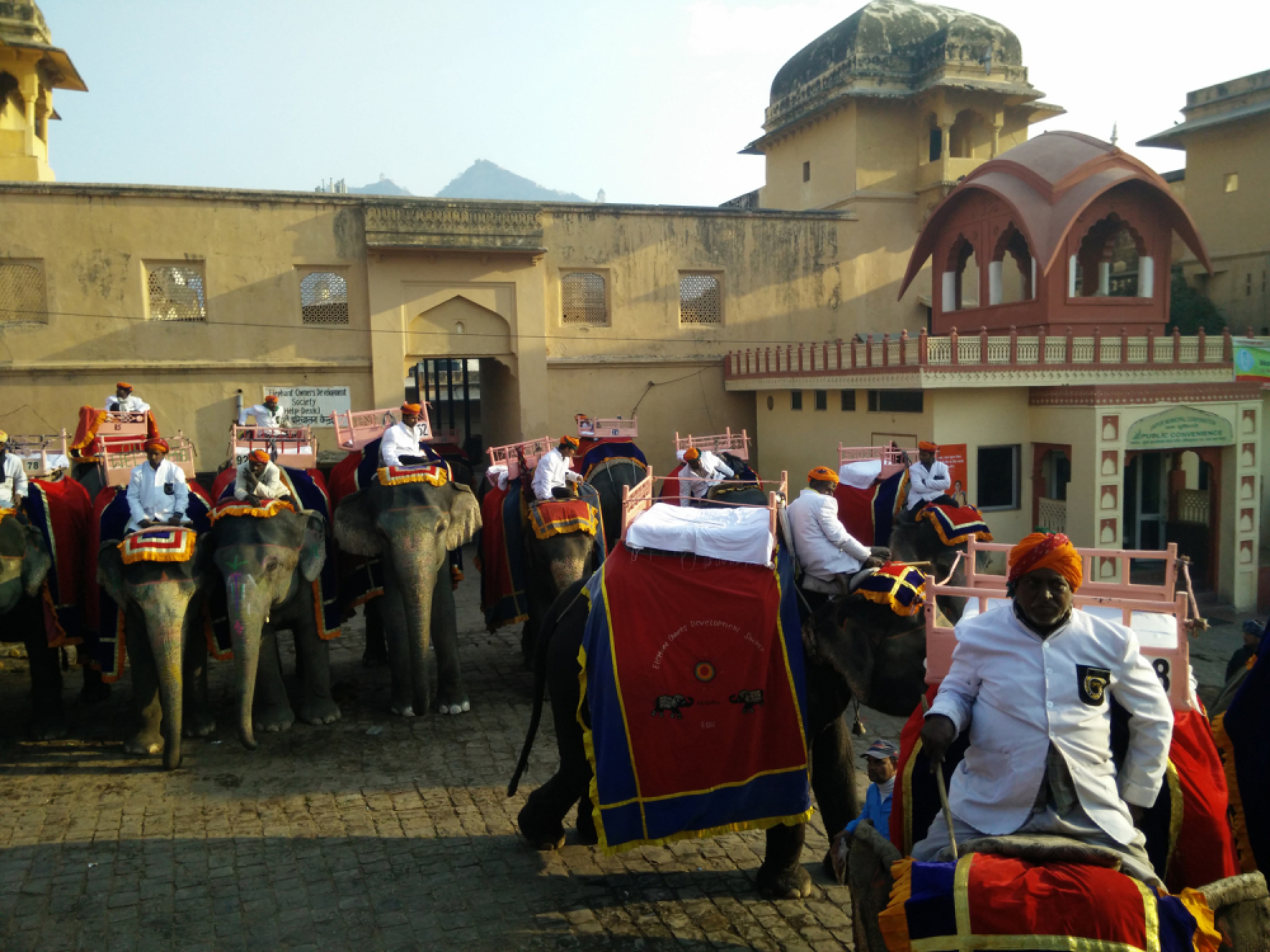 Elephants at the Palace