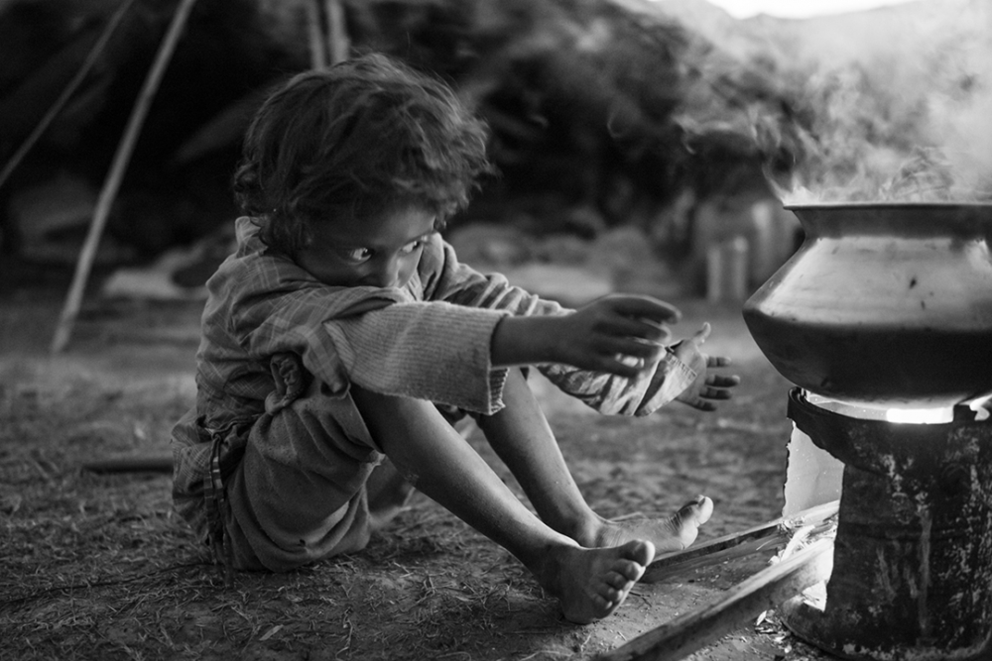Little nomads of the Terai