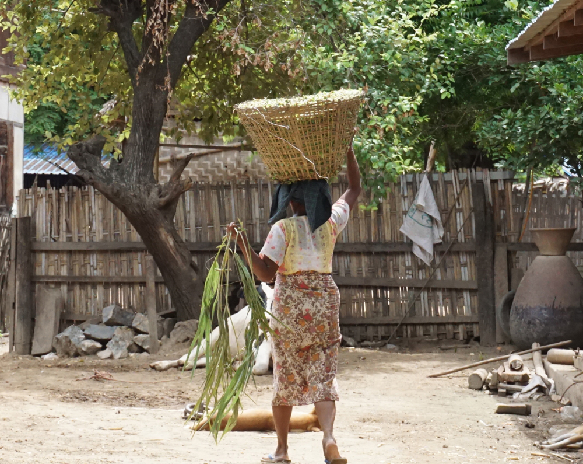 Angwa, the land that time forgot