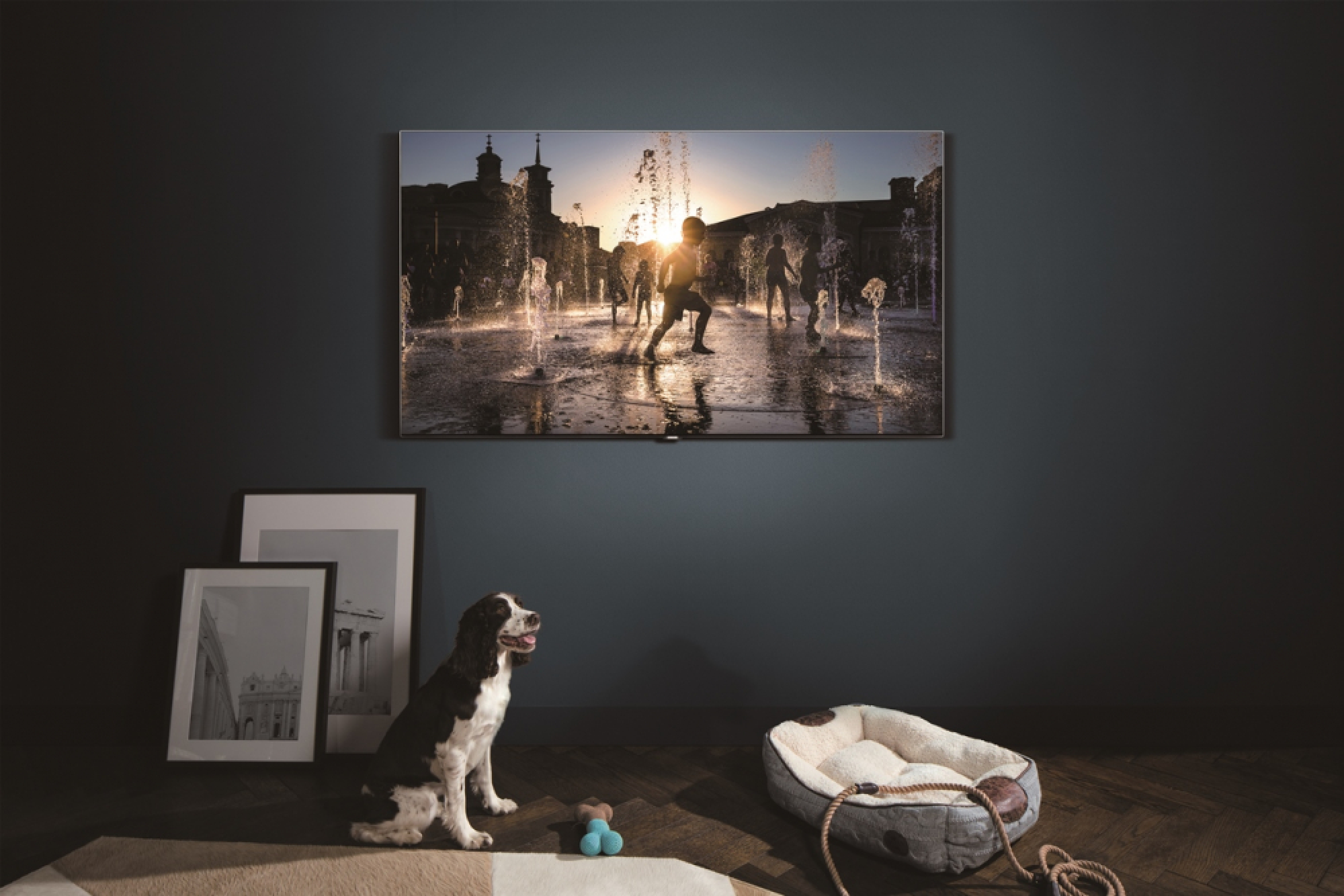 Top-tier telly for your living room