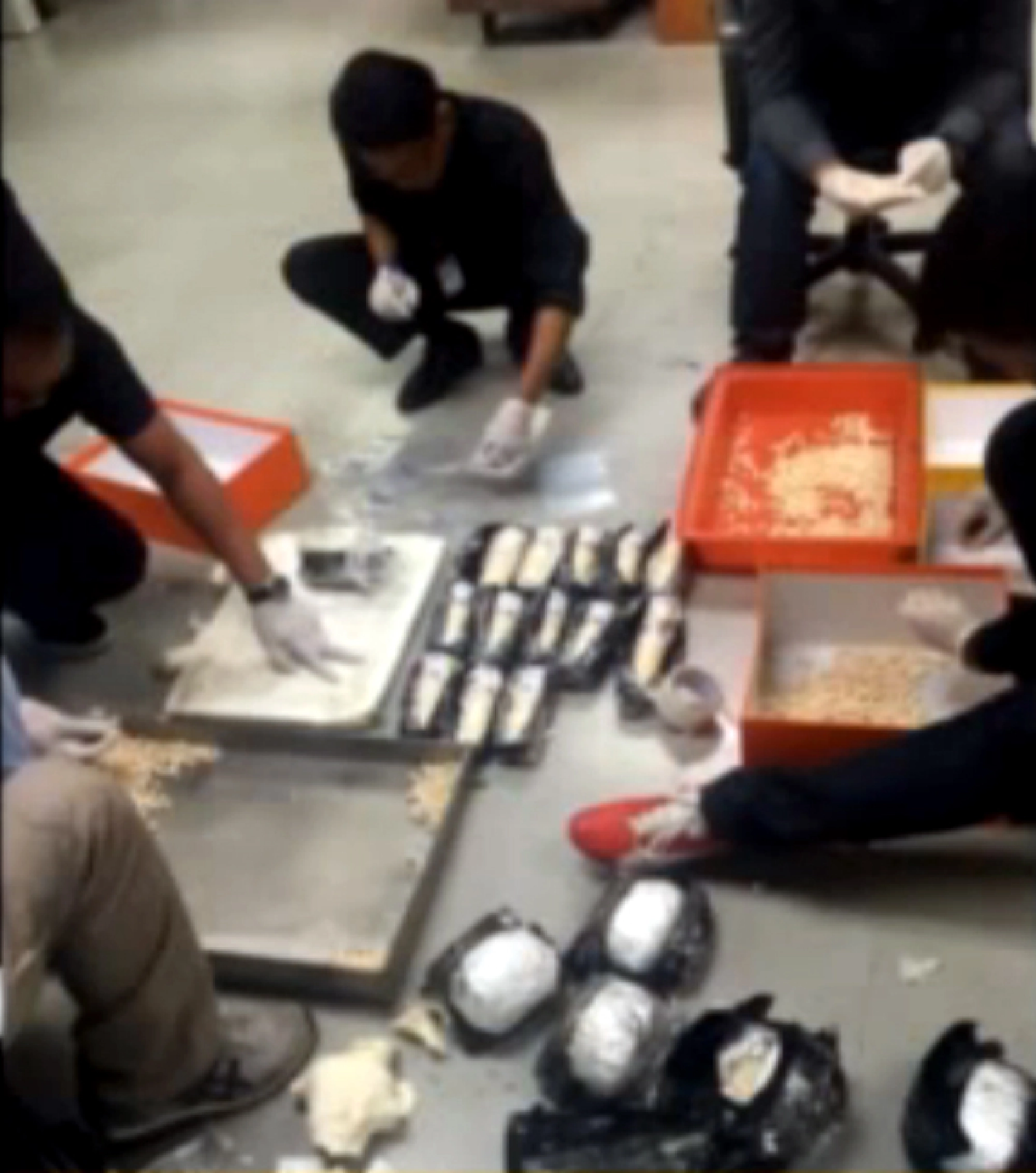 Two Vietnamese men indicted for alleged ivory export