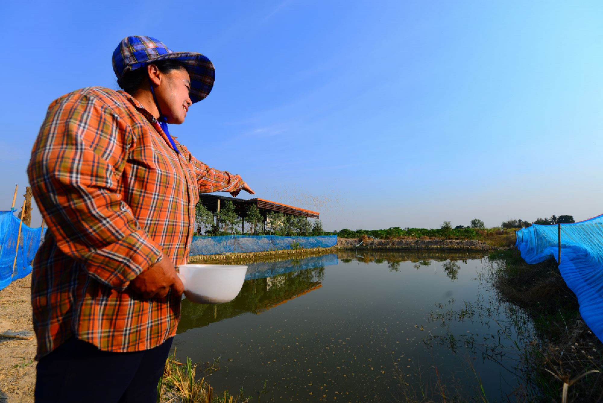 Moderation, prudence and NEW-THEORY AGRICULTURE