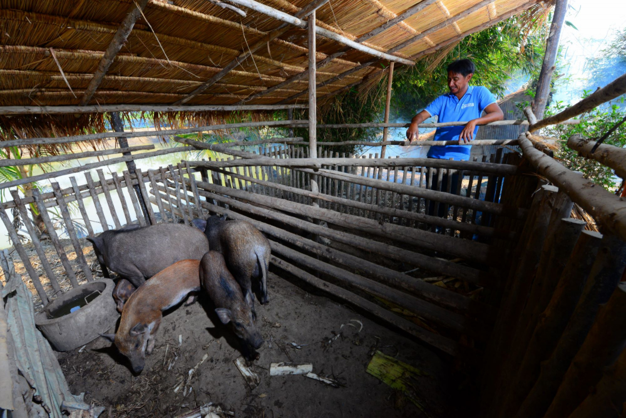 Moderation, prudence and NEW-THEORY AGRICULTURE