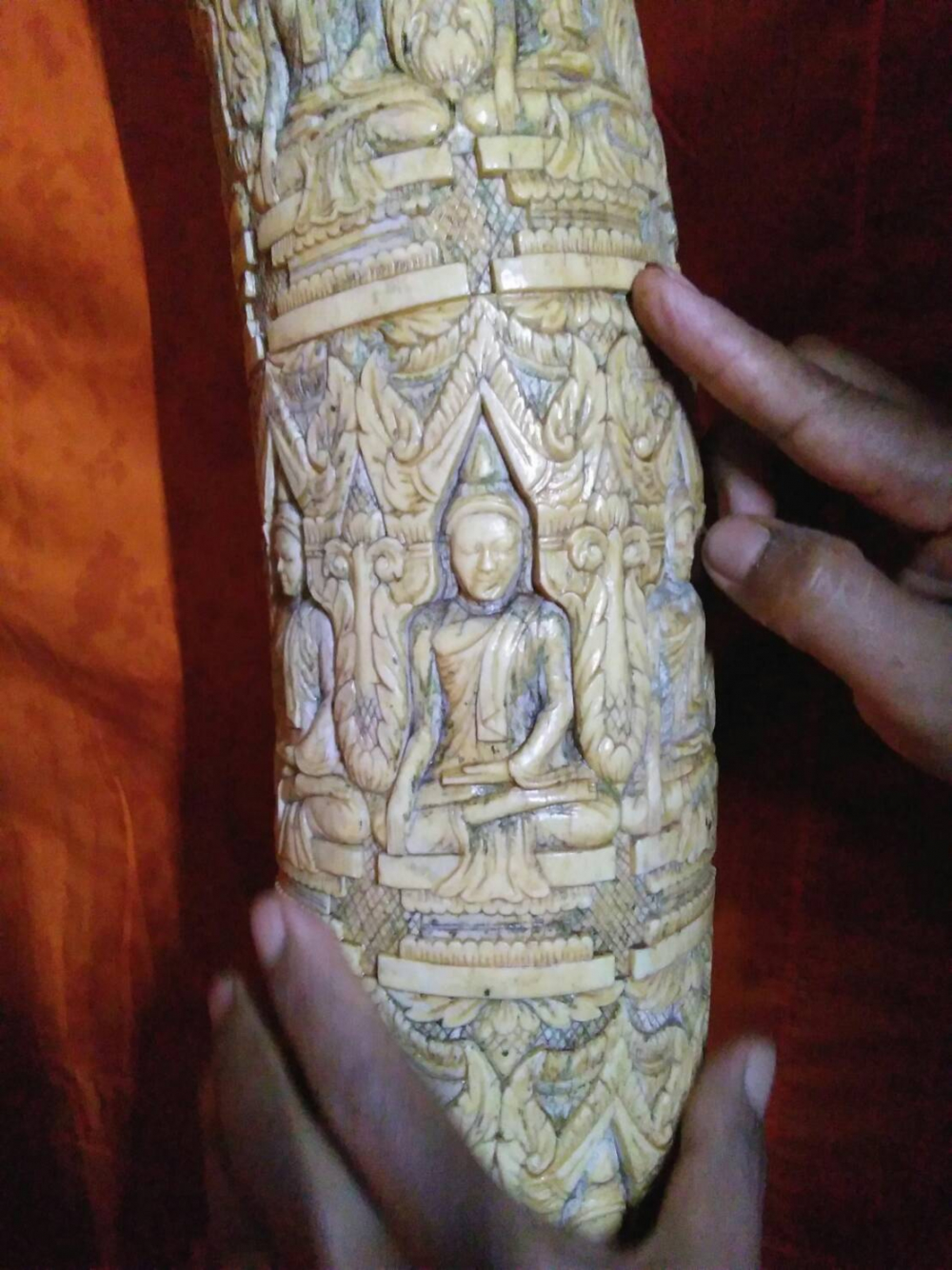 Stolen tusks returned but suspected ‘hermit’ thief still at large